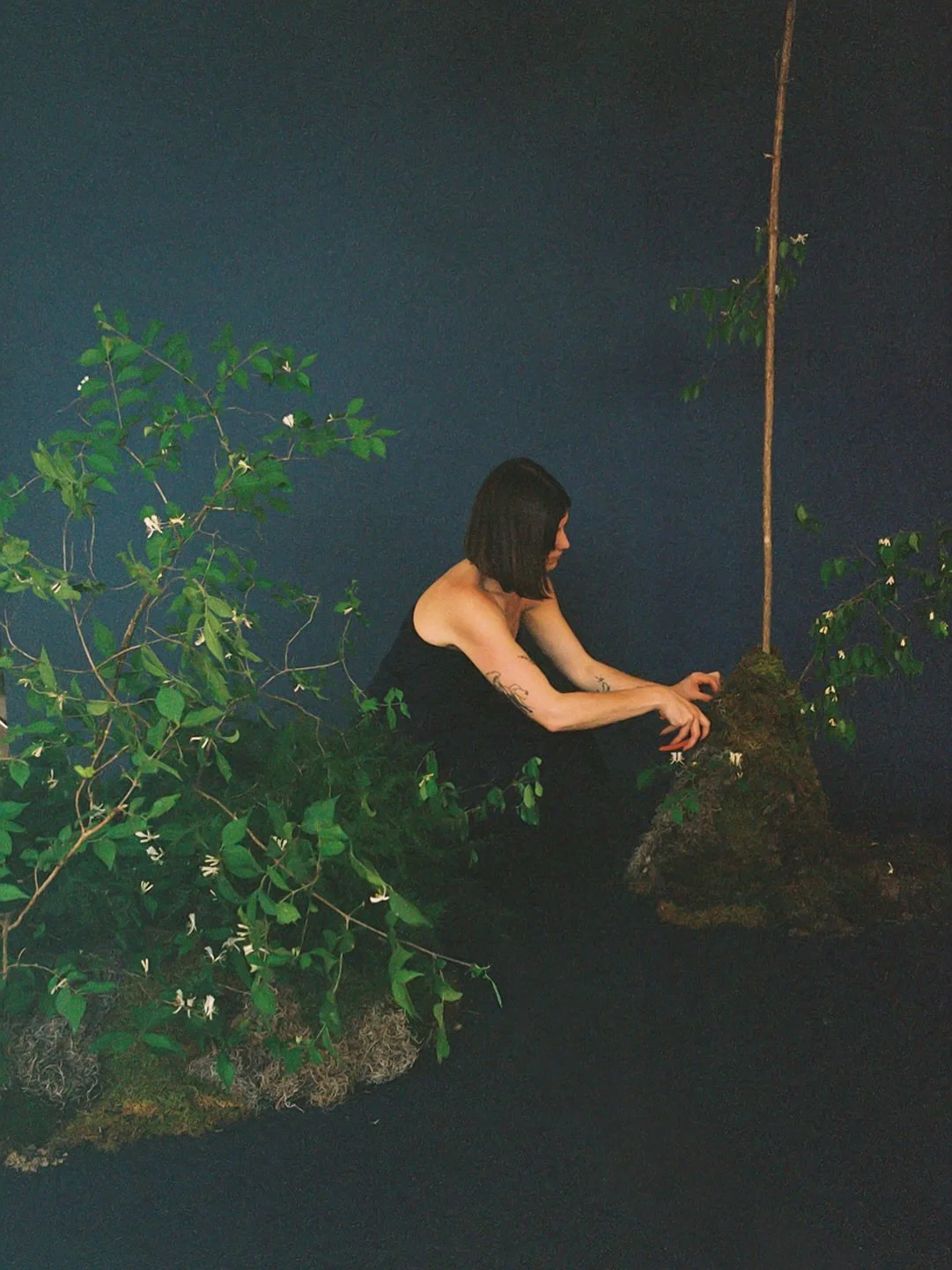 More from my branding shoot! 

The moodiness of the film with this dark blue background and my dark green foraged tree and moss installation and my hand with the clippers that kind of look like a claw. Chic and creepy in the best way and I love it ☺️
