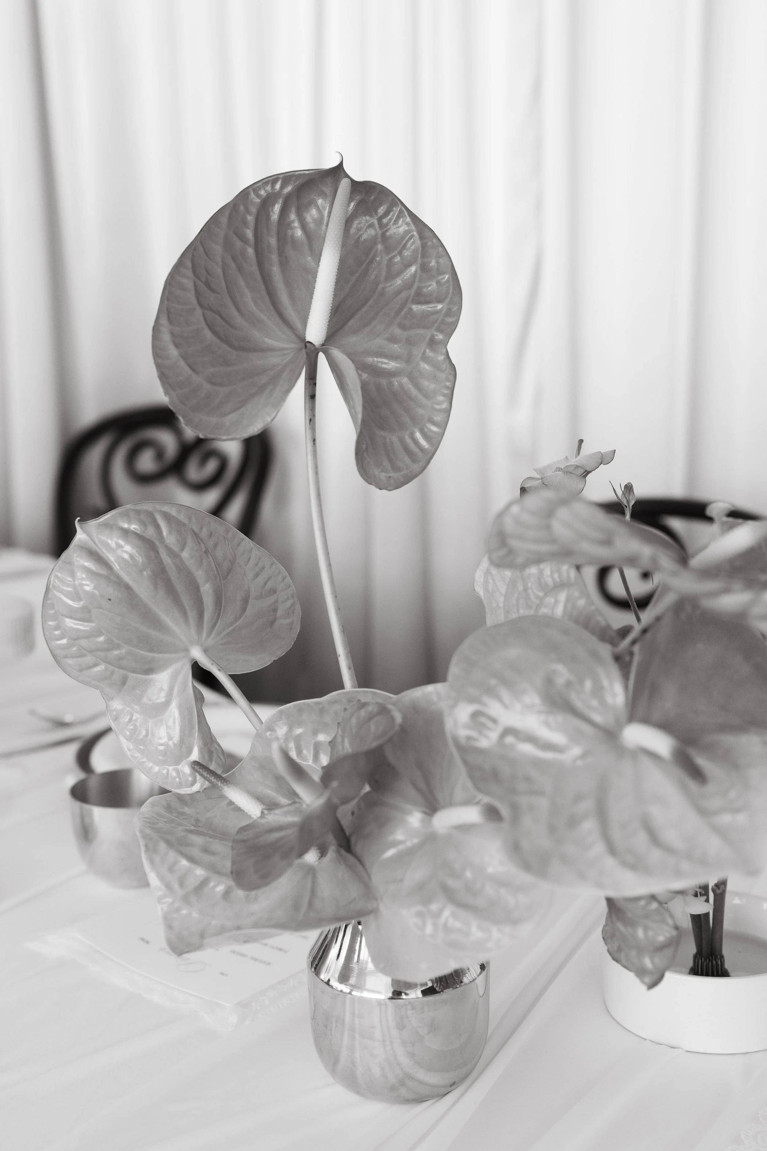 MadebyHallePhoto_2026_0282-Copy1.JPG