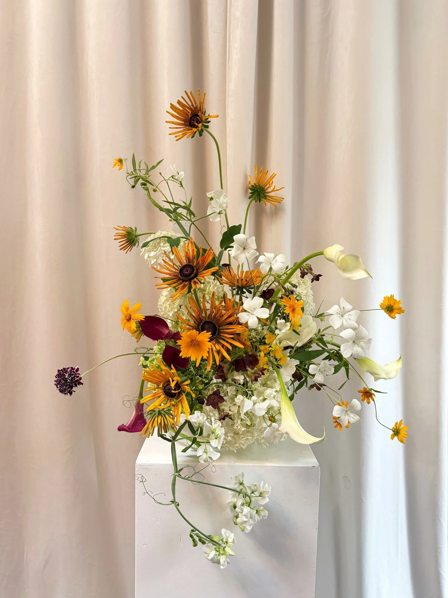 One arrangement, three backdrops. Which is your fave?! 

Link in bio to place your order 🤍 #thecottagerose 
.
.
Kansas City wedding florist | destination wedding florist | custom flower arrangements | modern florals | summer flower arrangement | edi