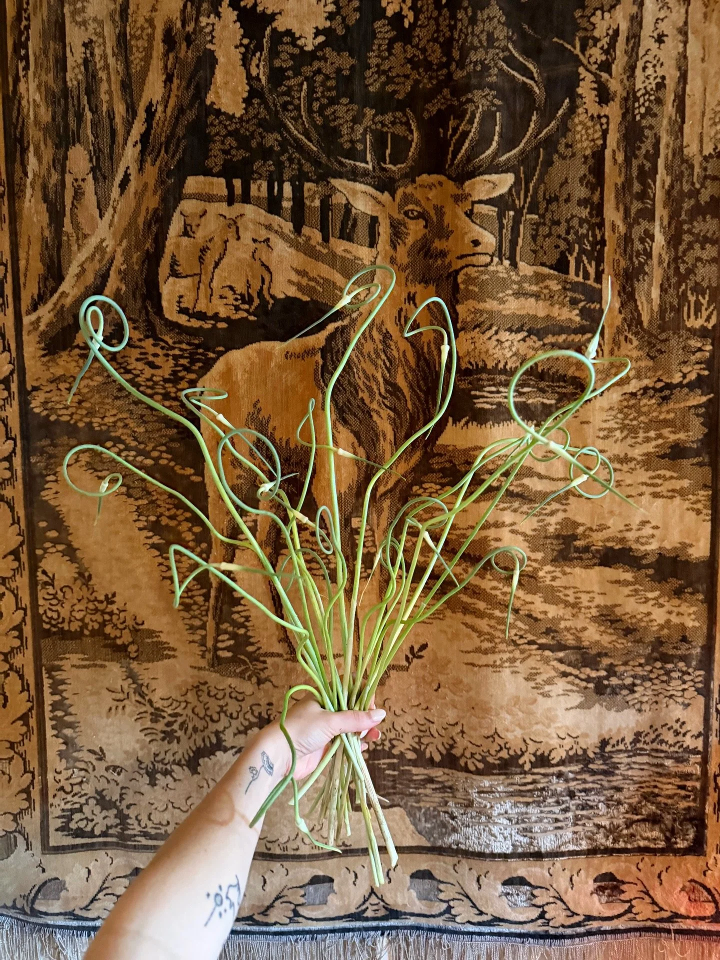 June was fun! #ferrellholdingflowers #thecottagerose 
.
.
Kansas City wedding florist | destination wedding florist | custom flower arrangements | modern florals | allium | calla lily wedding | florist ootd | summer wedding inspiration