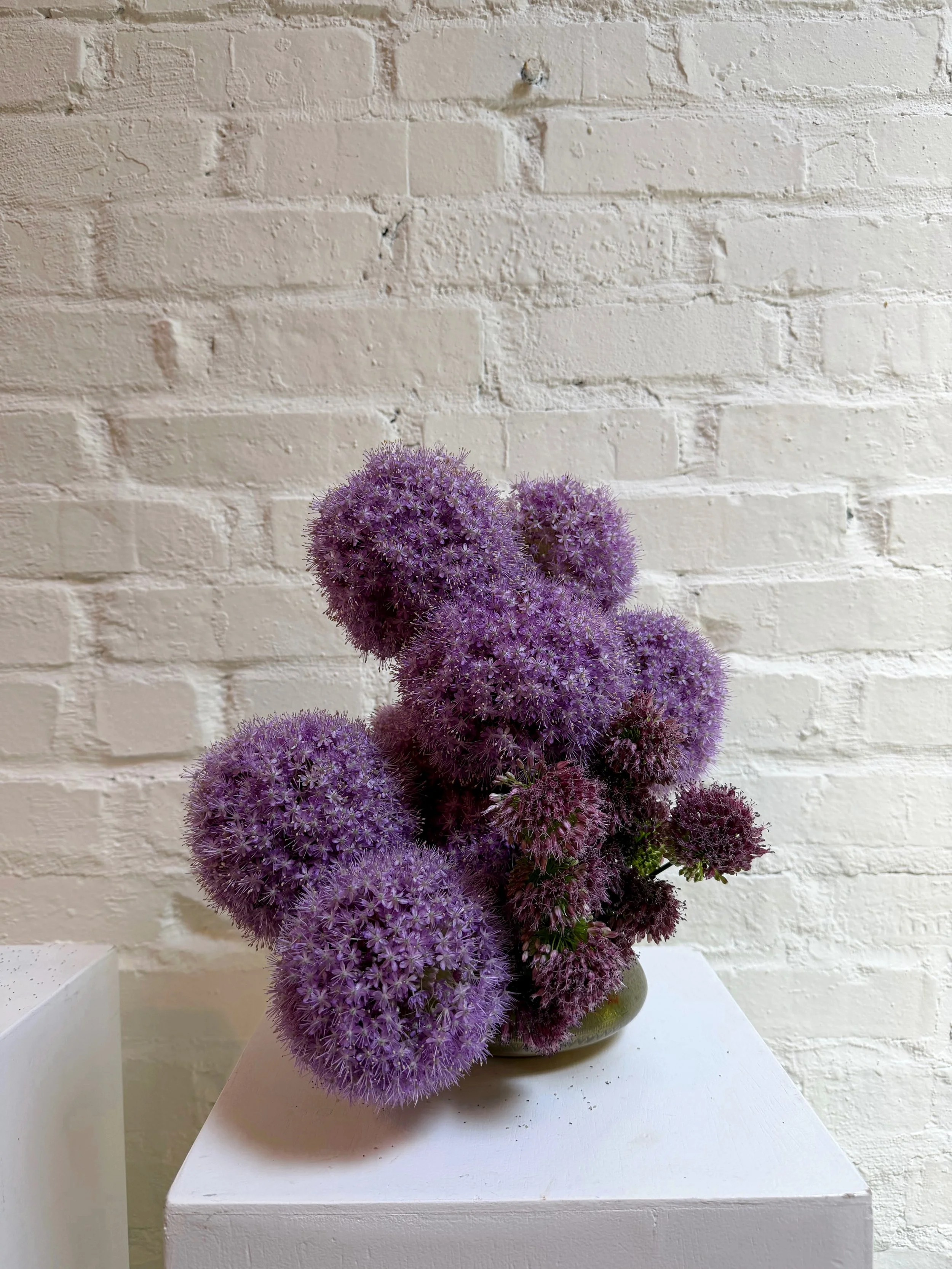Purple poofs of allium 💜 #thecottagerose 
.
.
Kansas City wedding florist | custom florals | modern florals | destination wedding florist | allium arrangement | summer wedding inspiration | sculptural floral arrangement | Chicago wedding florist | f