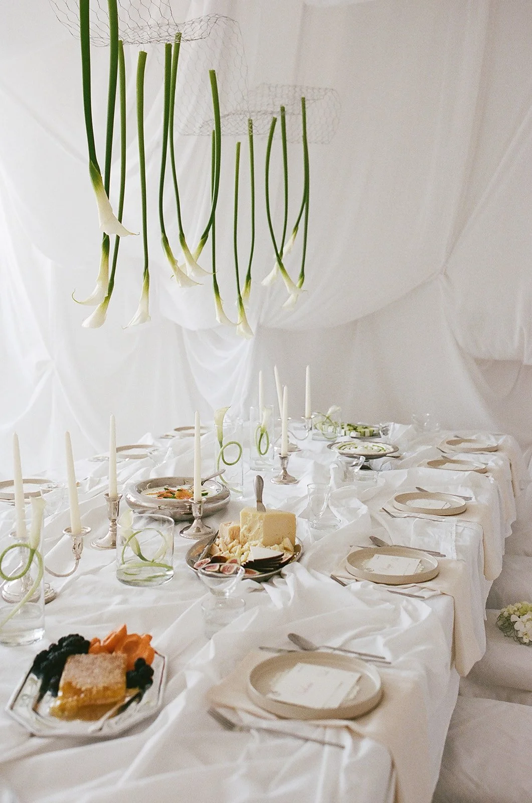 FilmScan-KaleysBabyShower-MaddieString-153(1).jpg
