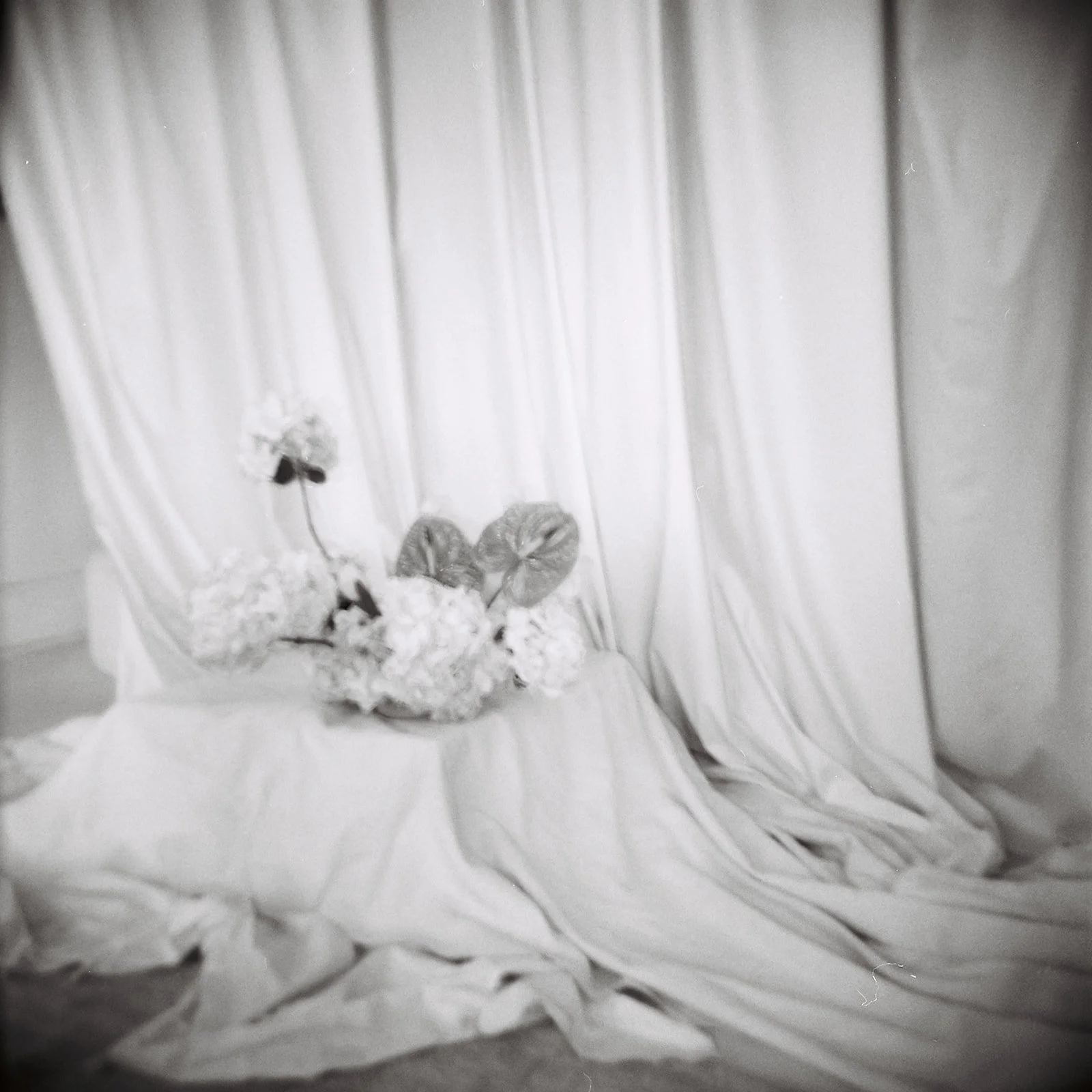 editorial branding shoot flowers maggie routon interior design studio the cottage rose full service wedding florist kansas city crossroads draped fabric ribbon calla lilies anthurium amaranth hydrangea pedestal flower arrangement