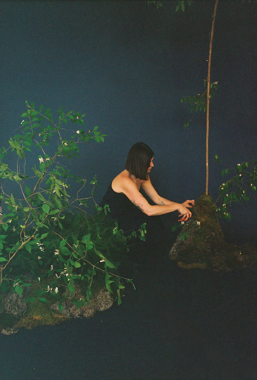 'The Floral Cult': Weekly