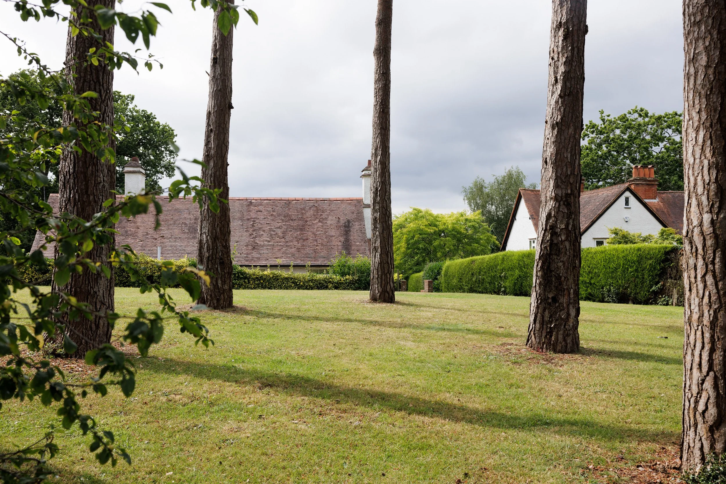 A yard with tall pine trees, green grass, and a hedge, with white houses and a cloudy sky in the background.
