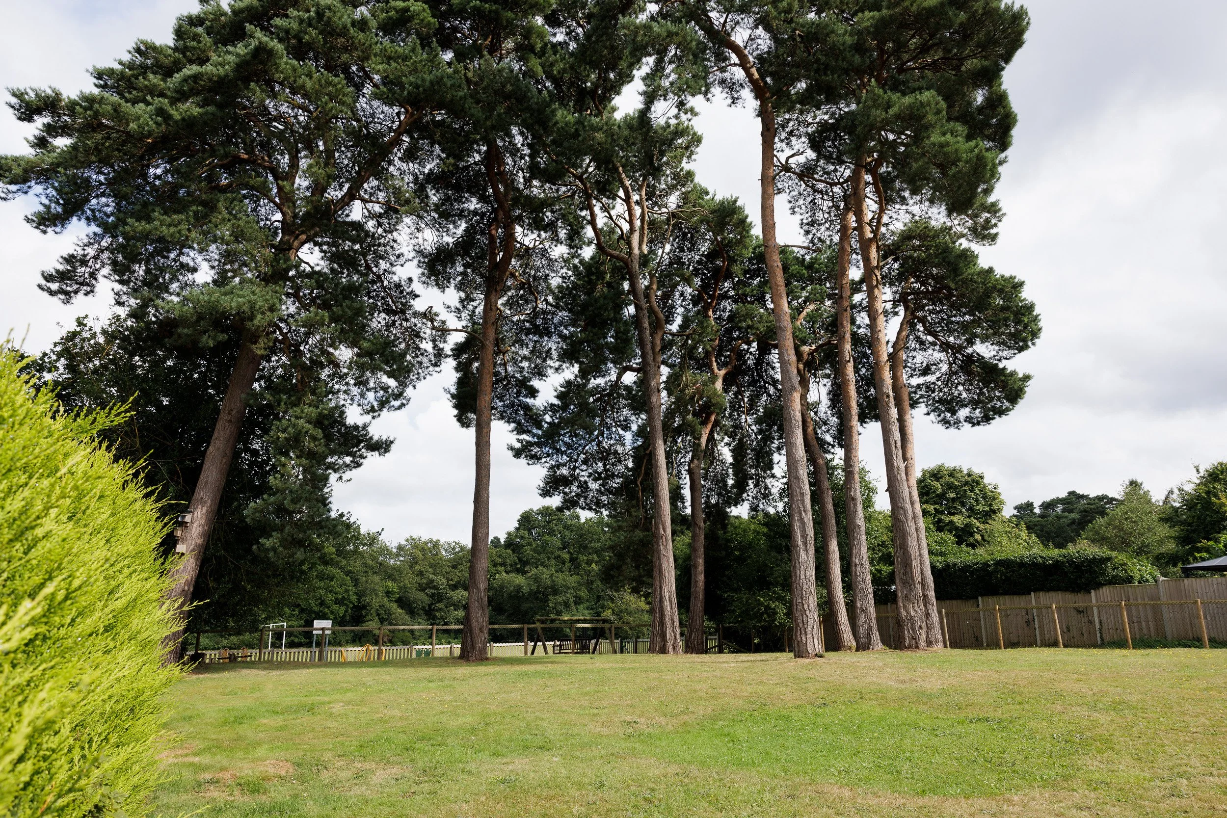 The Sands Room garden with tall pine trees, green grass, a wooden fence, under cloudy skies.