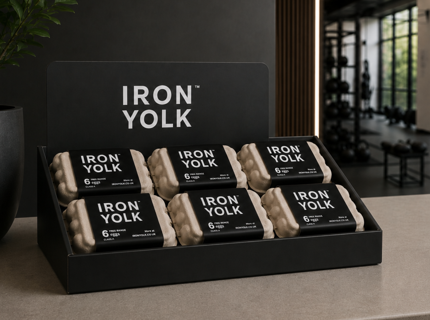 Black display box with six cartons of eggs labeled 'Iron Yolk' arranged in two rows of three, placement on a beige countertop, with a blurred gym background visible.