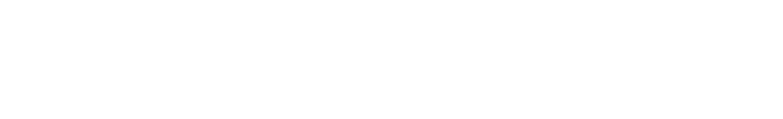 IRON YOLK