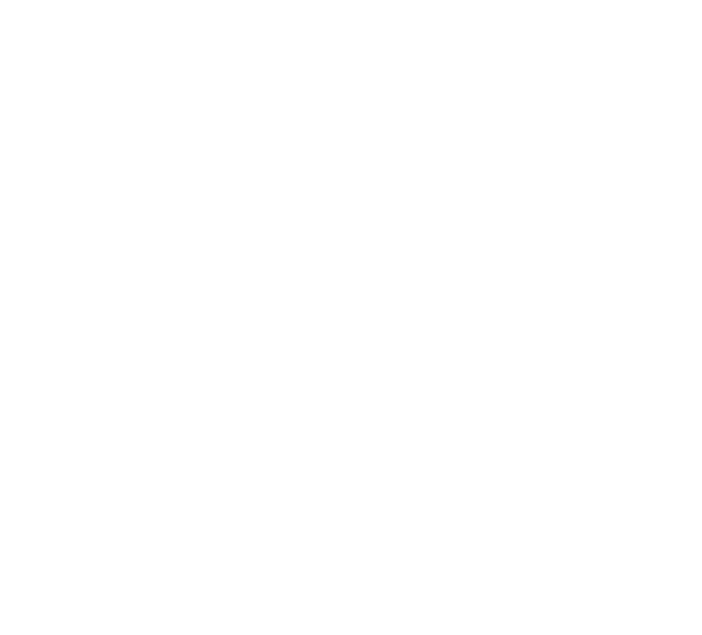 Black and white illustration of a carton of eggs labeled 'Iron Volk'.