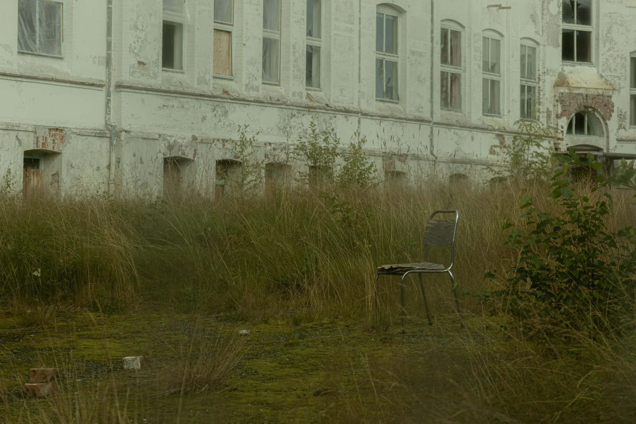 An overgrown backyard with tall grass and weeds in front of an old, abandoned building with boarded-up windows and peeling paint.