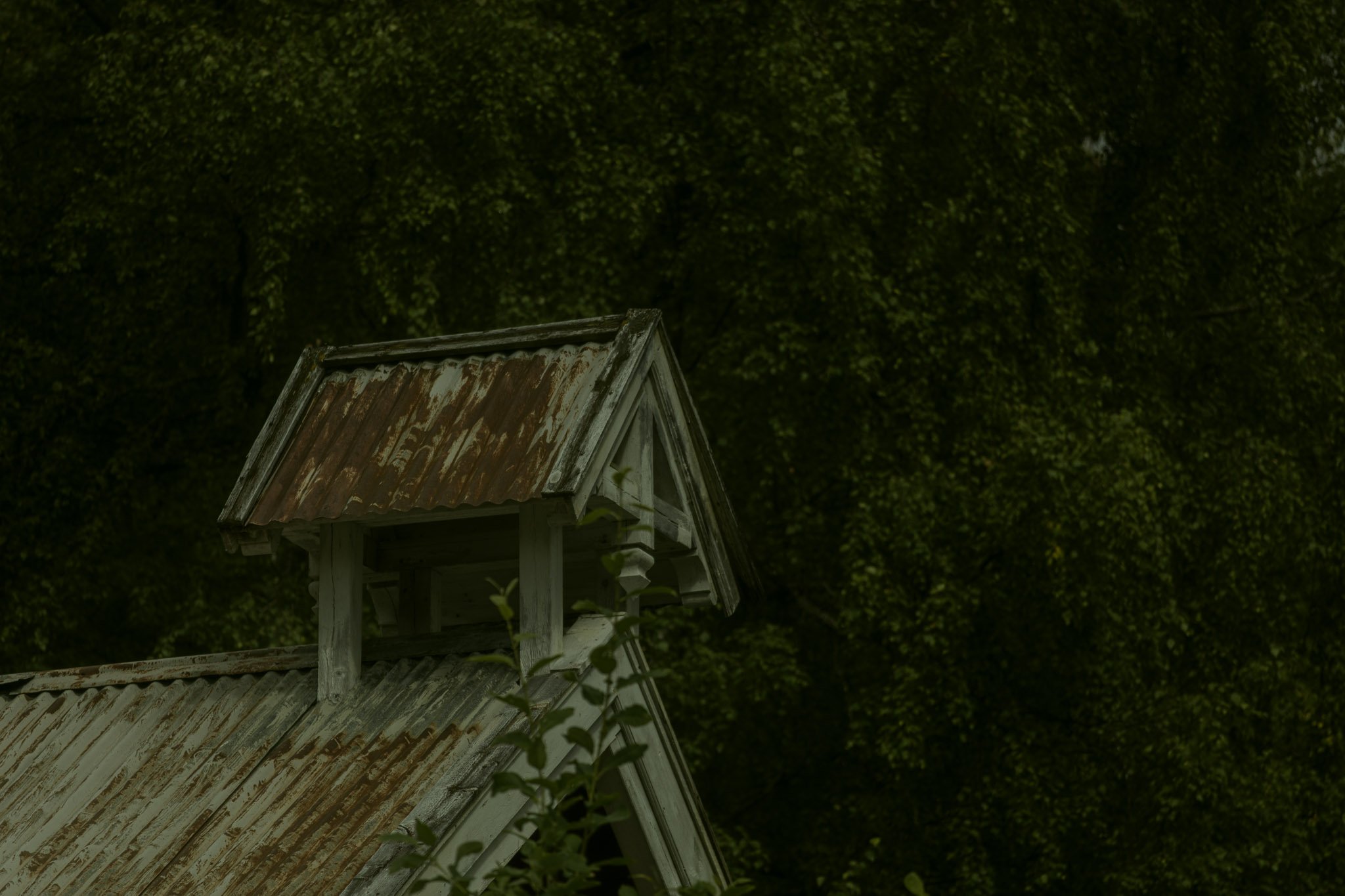 A small wooden birdhouse with a rusty metal roof, situated against a dense green forest background.