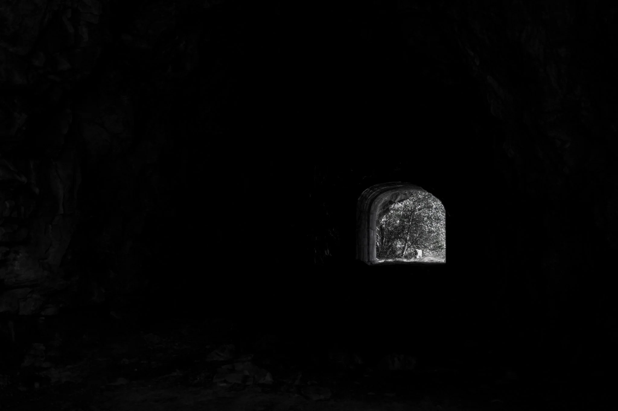 View from inside a dark tunnel looking toward the outside, where trees and daylight are visible.