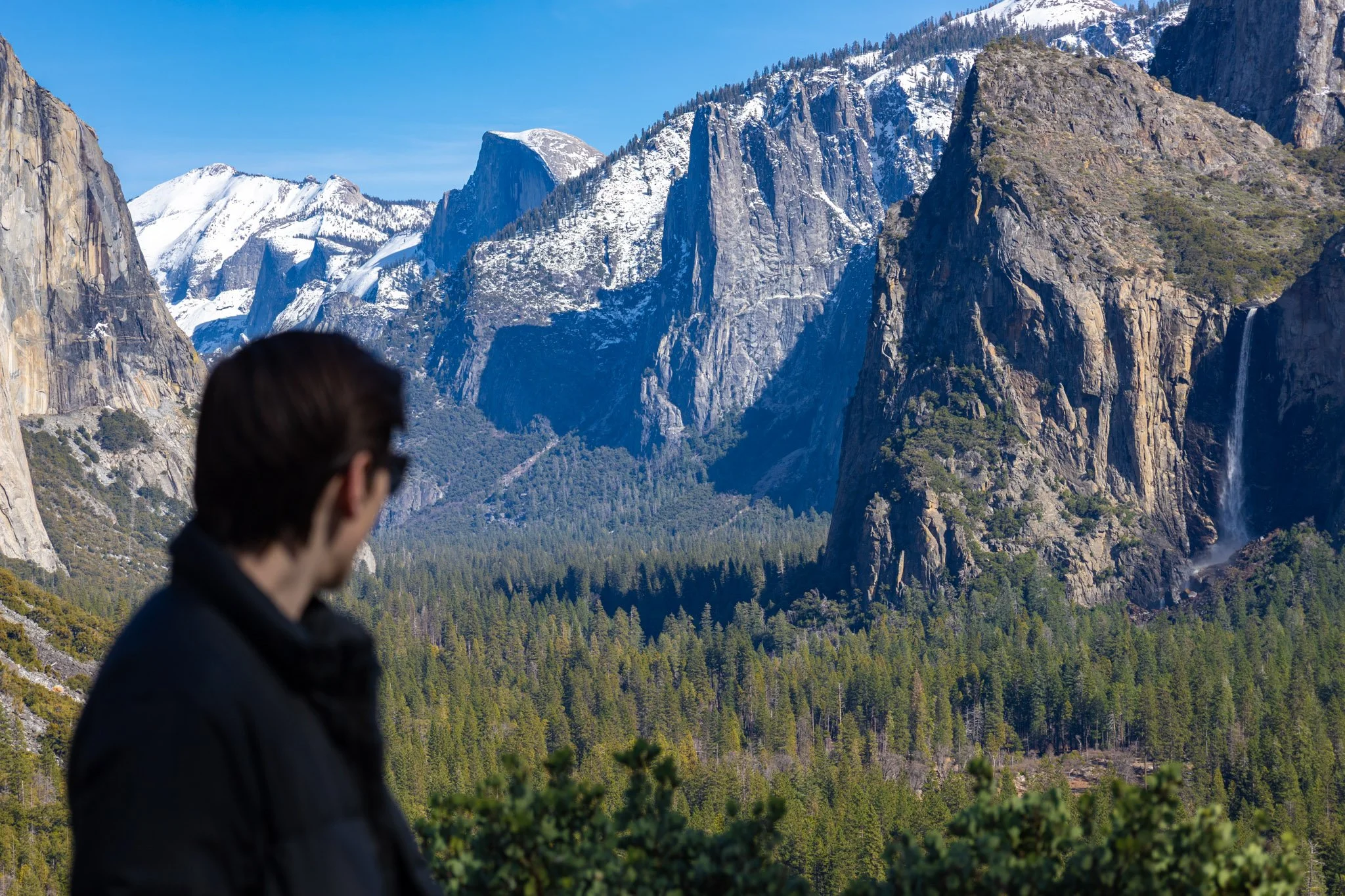 A man in a dark jacket looking toward a mountainous landscape with snow-capped peaks, rugged cliffs, dense green forest, and a clear blue sky.