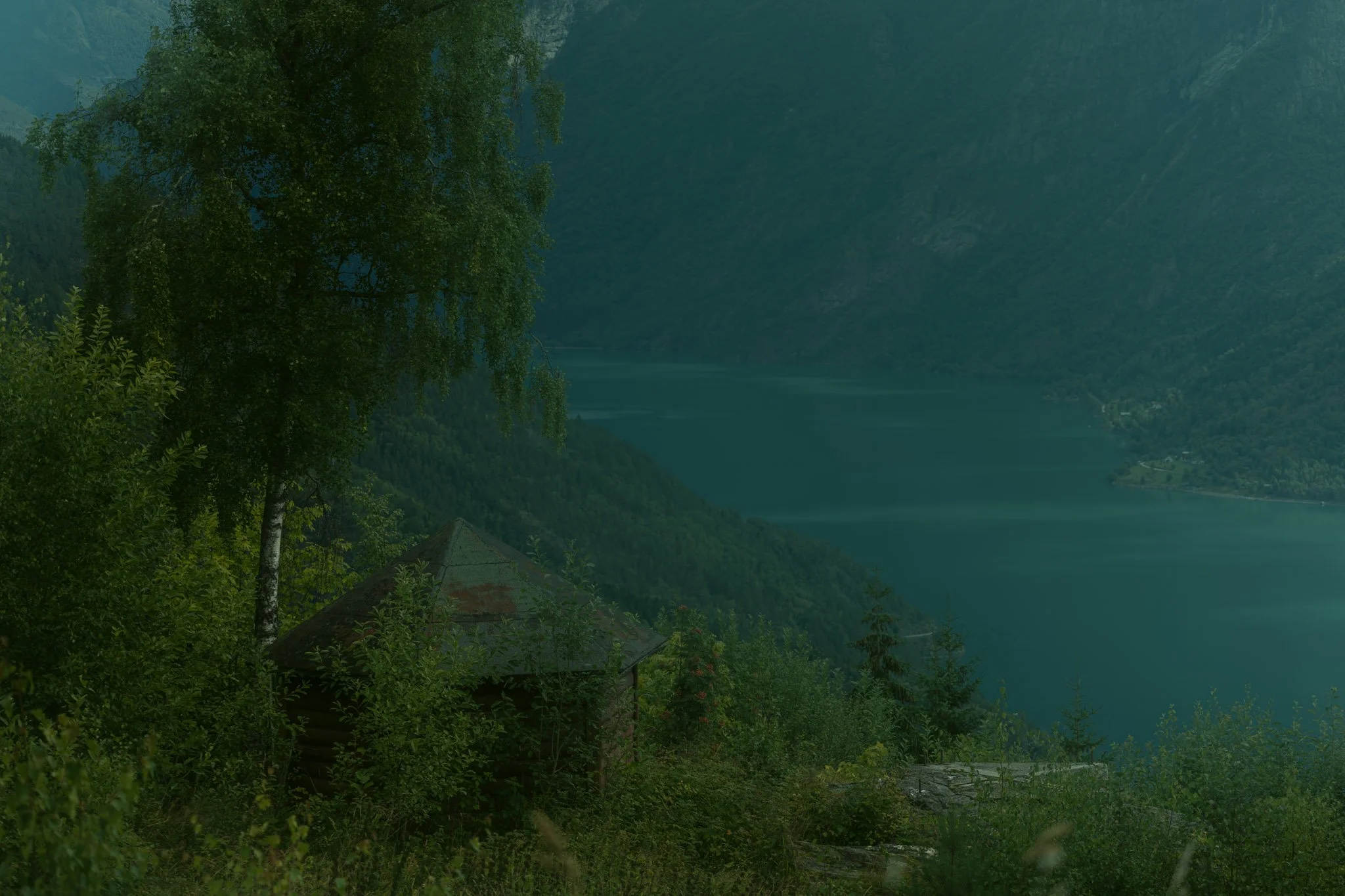 Green trees and foliage in the foreground with mountains and a large body of water in the background
