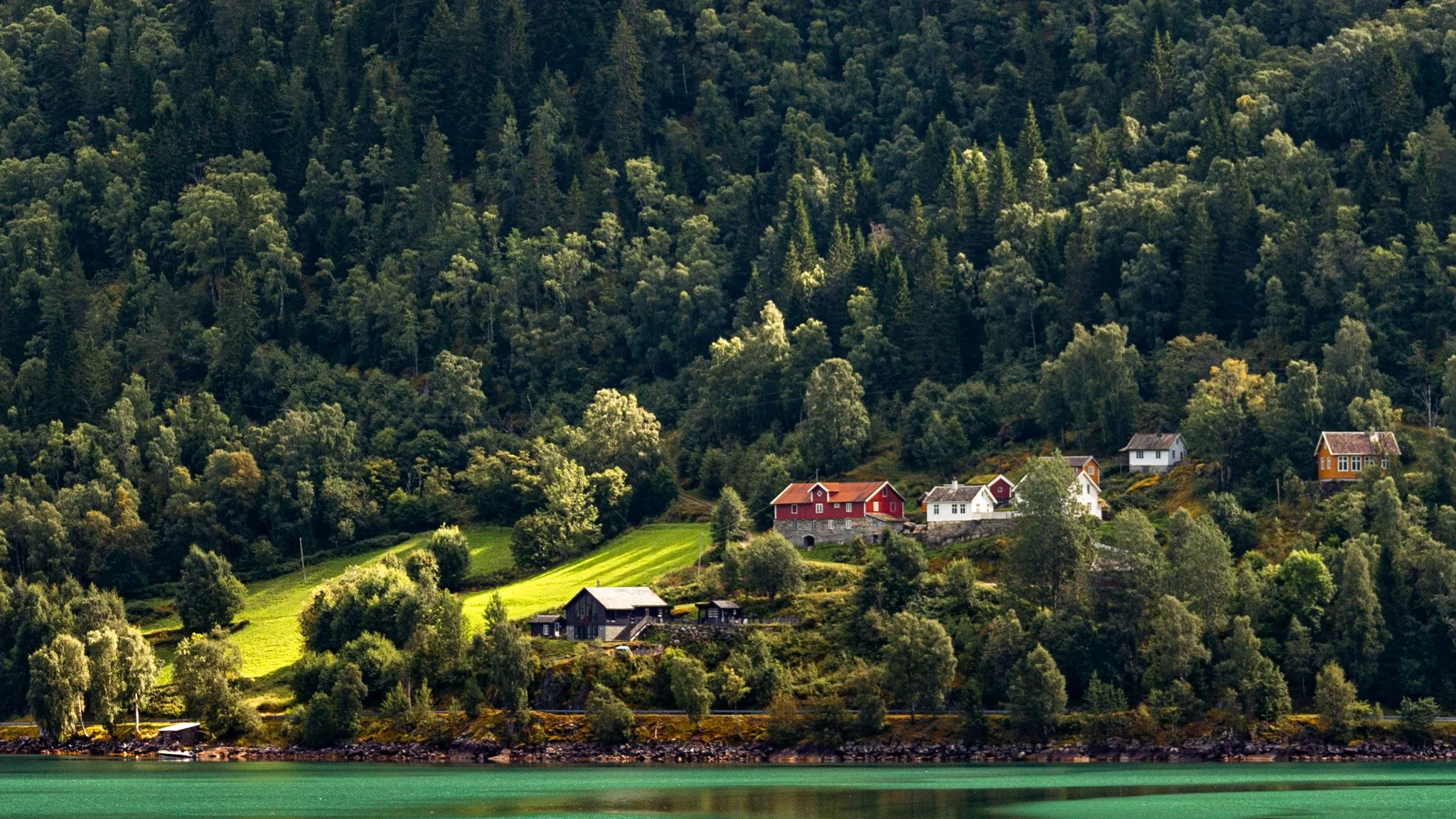 Scenic view of a hillside with colorful houses, dense green forest, and a water body in the foreground.