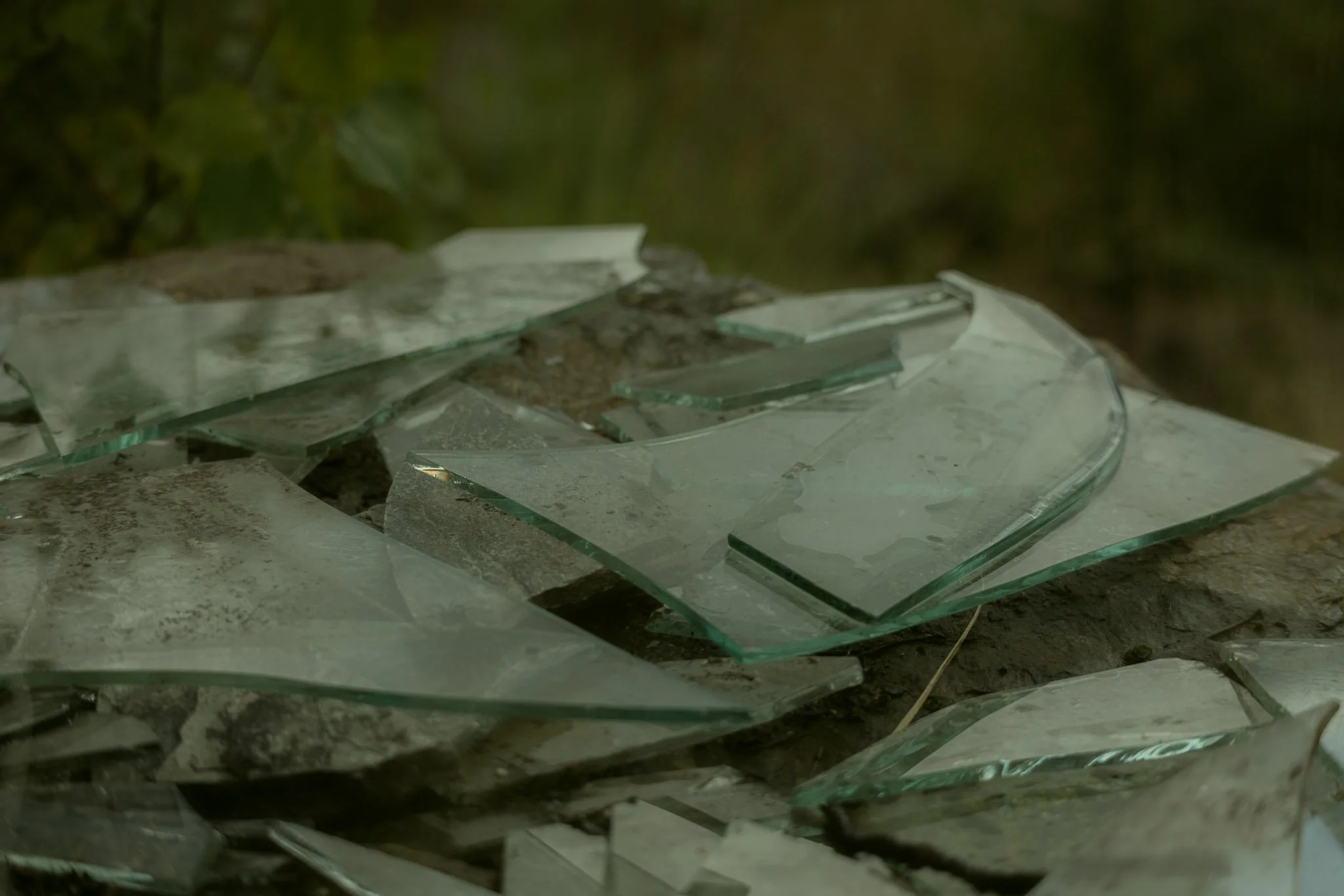 Broken glass shards scattered on a surface with a blurred outdoor background.
