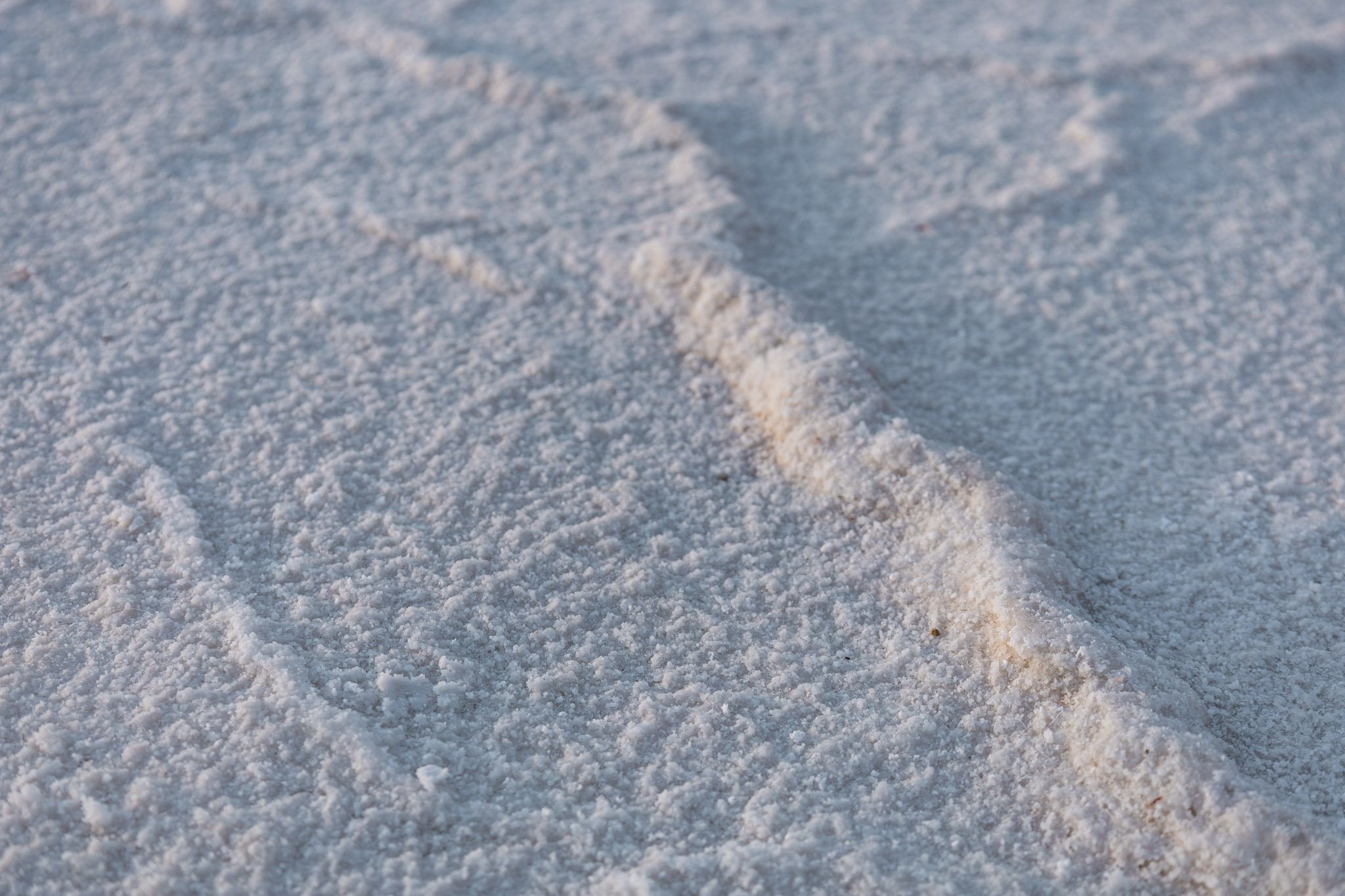 Close-up of snowy ground with a single set of footprints leading away.