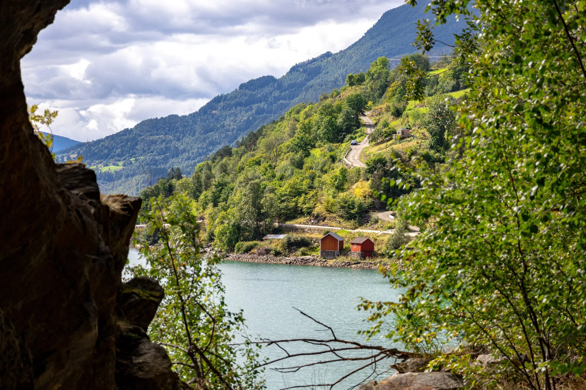 View of a lake with green hills and mountains in the background, framed by a tree trunk and branches with green leaves in the foreground.