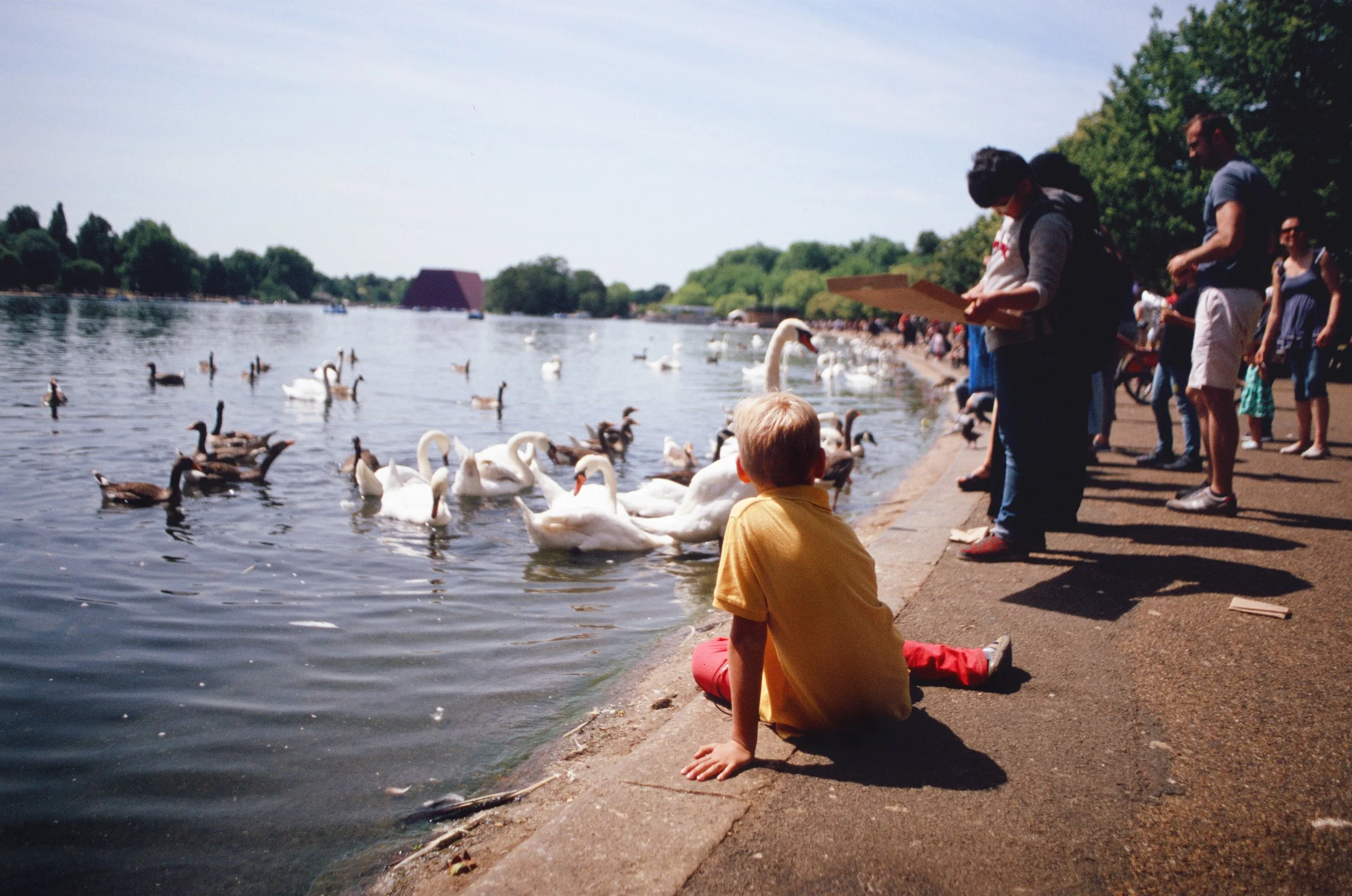 000045720015.jpg