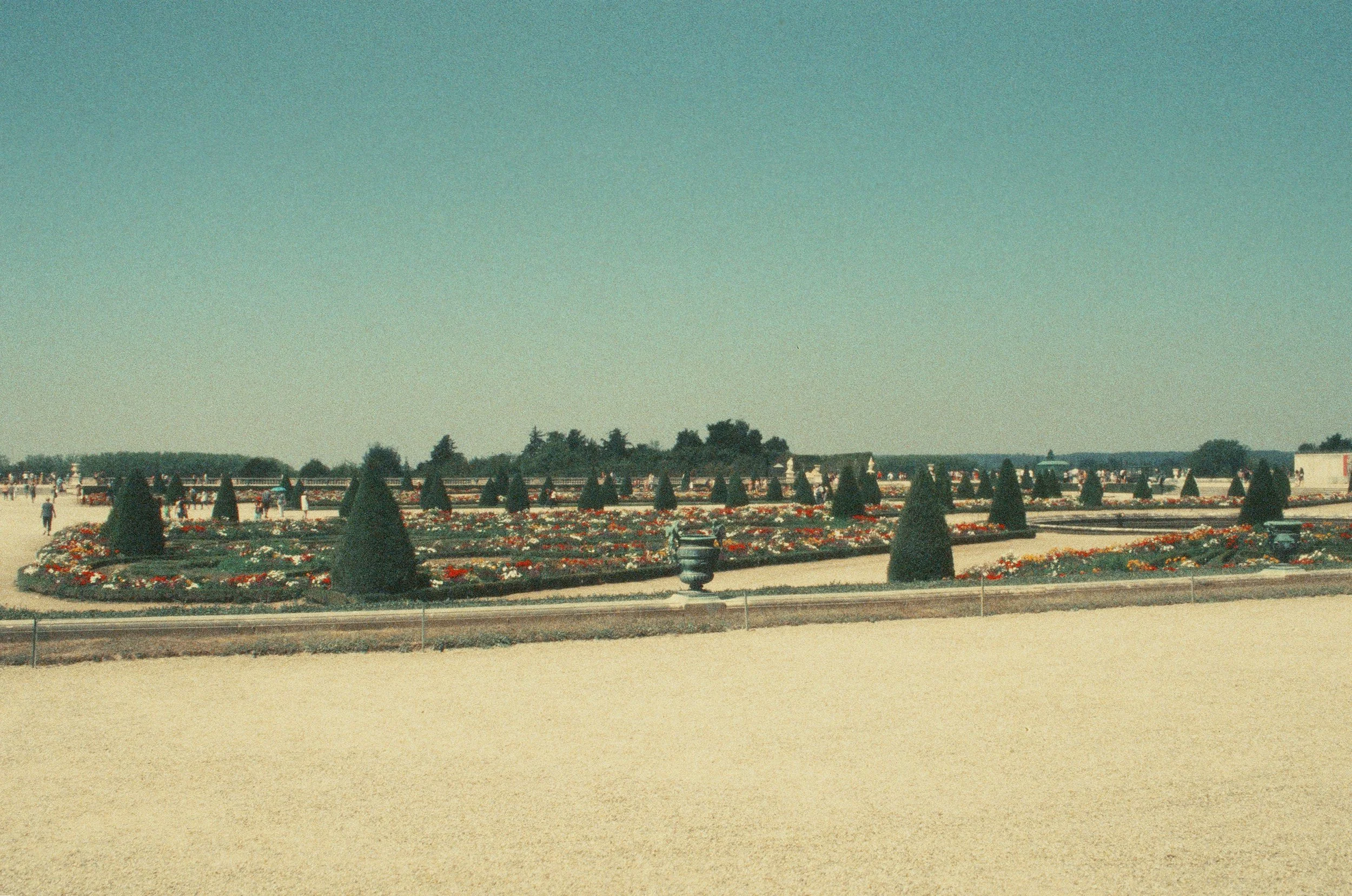 000013520033 copy.jpg
