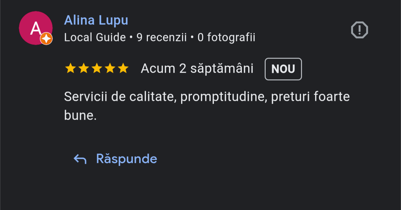 Screenshot of a Google profile page for Alina Lupu, a local guide with nine reviews, no photos, and a five-star rating. The profile mentions providing quality services, promptness, and good prices.