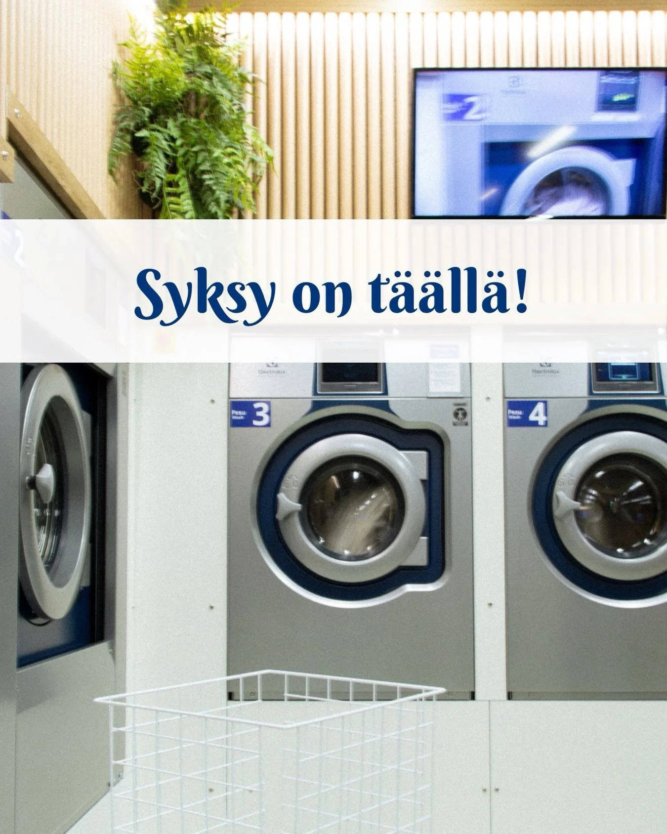 Syksy on t&auml;&auml;ll&auml;!

Iltojen pimetess&auml; neuleet kaivetaan kaapista, kes&auml;vaatteet siirtyv&auml;t s&auml;ilytykseen ja arki alkaa taas py&ouml;ri&auml; t&auml;ydell&auml; vauhdilla.

🫧Nyt on hyv&auml; hetki huoltaa my&ouml;s kodin