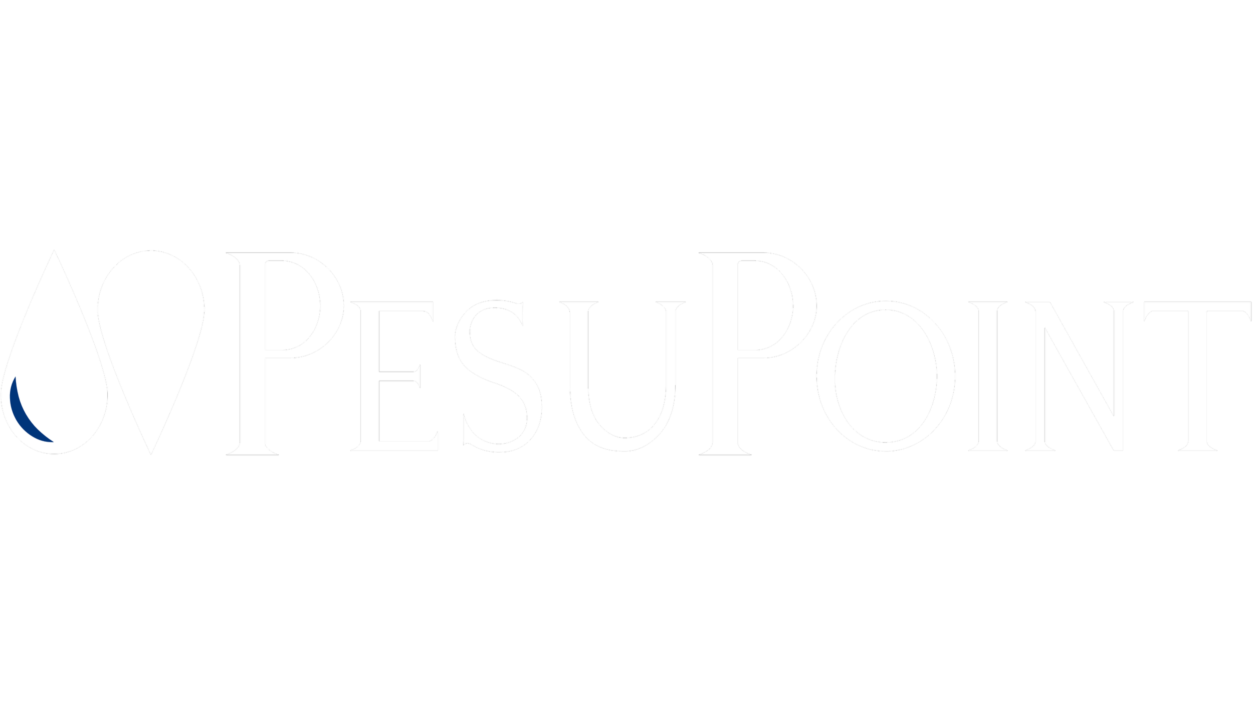 PesuPointin graafinen elementti