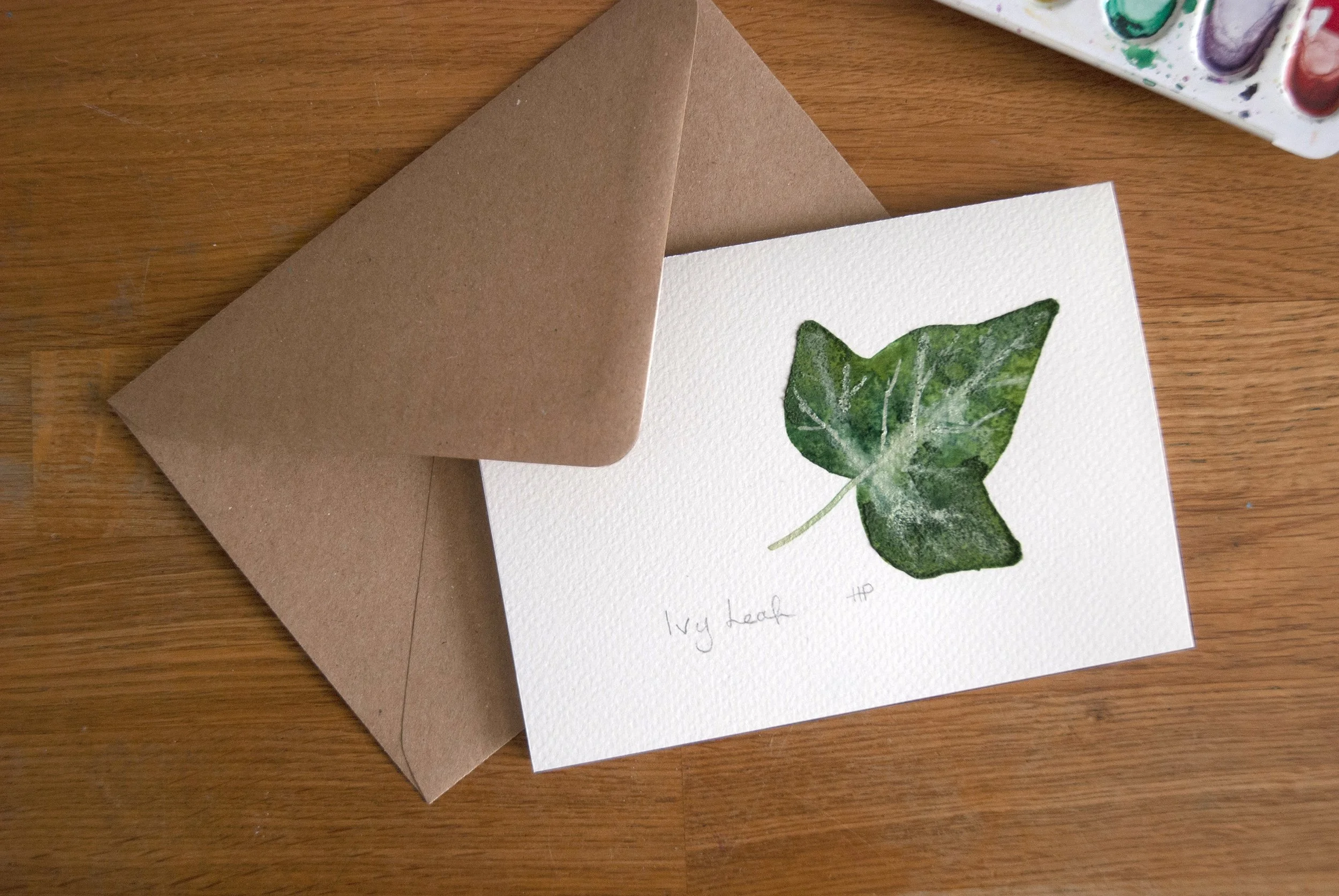 ivy_env_DSC_0036.jpg