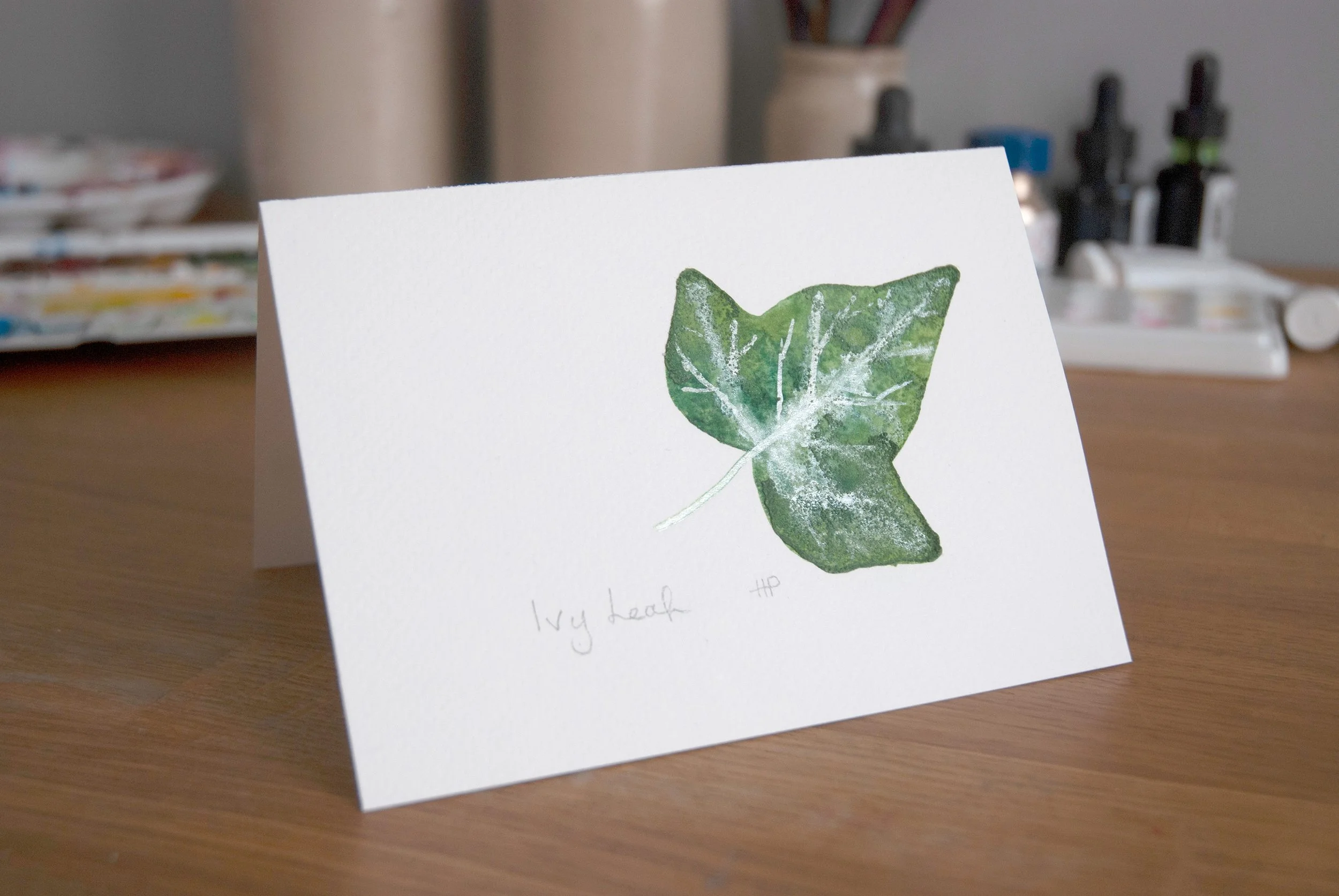 ivy_DSC_0016-v2.jpg