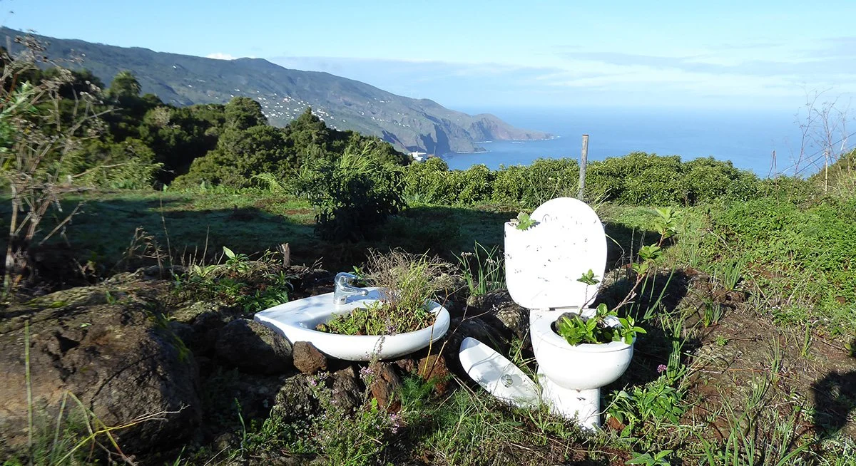 Inodoros y lavabo usados como macetas en un paisaje rural con vista al mar y montañas.