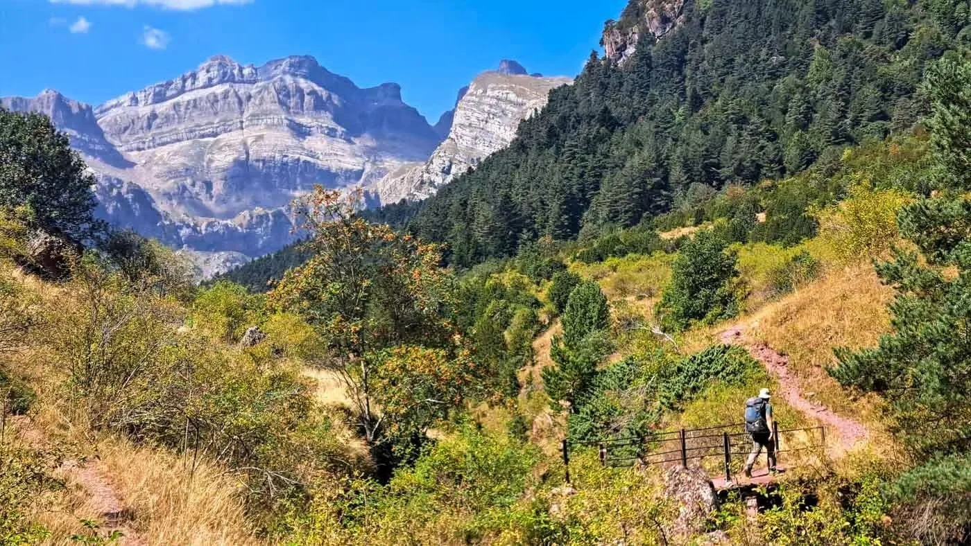 Persona caminando por un sendero rodeado de vegetación en un paisaje de montañas y árboles.