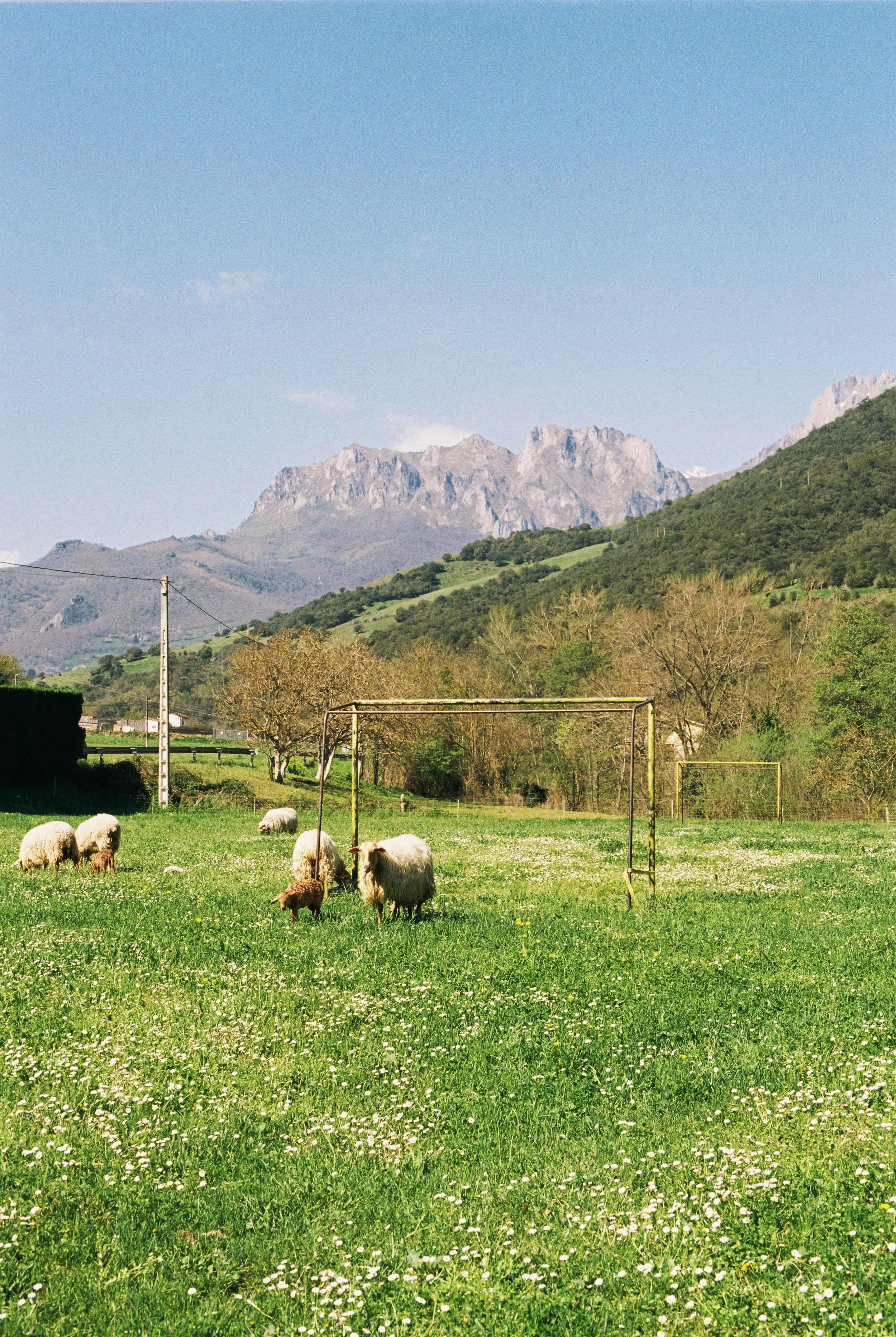 R1-03214-0008.jpg