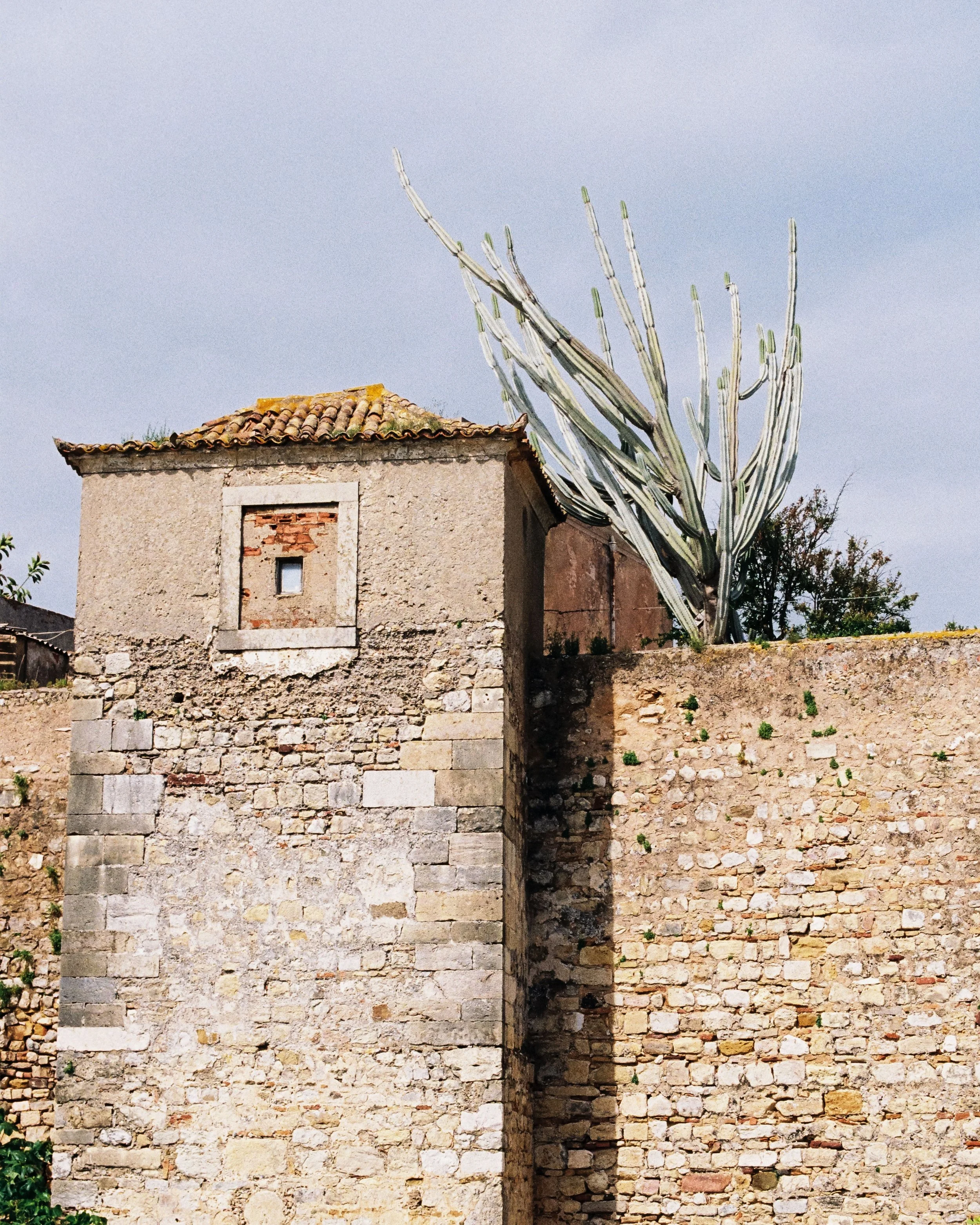 R1-03216-0013.jpg