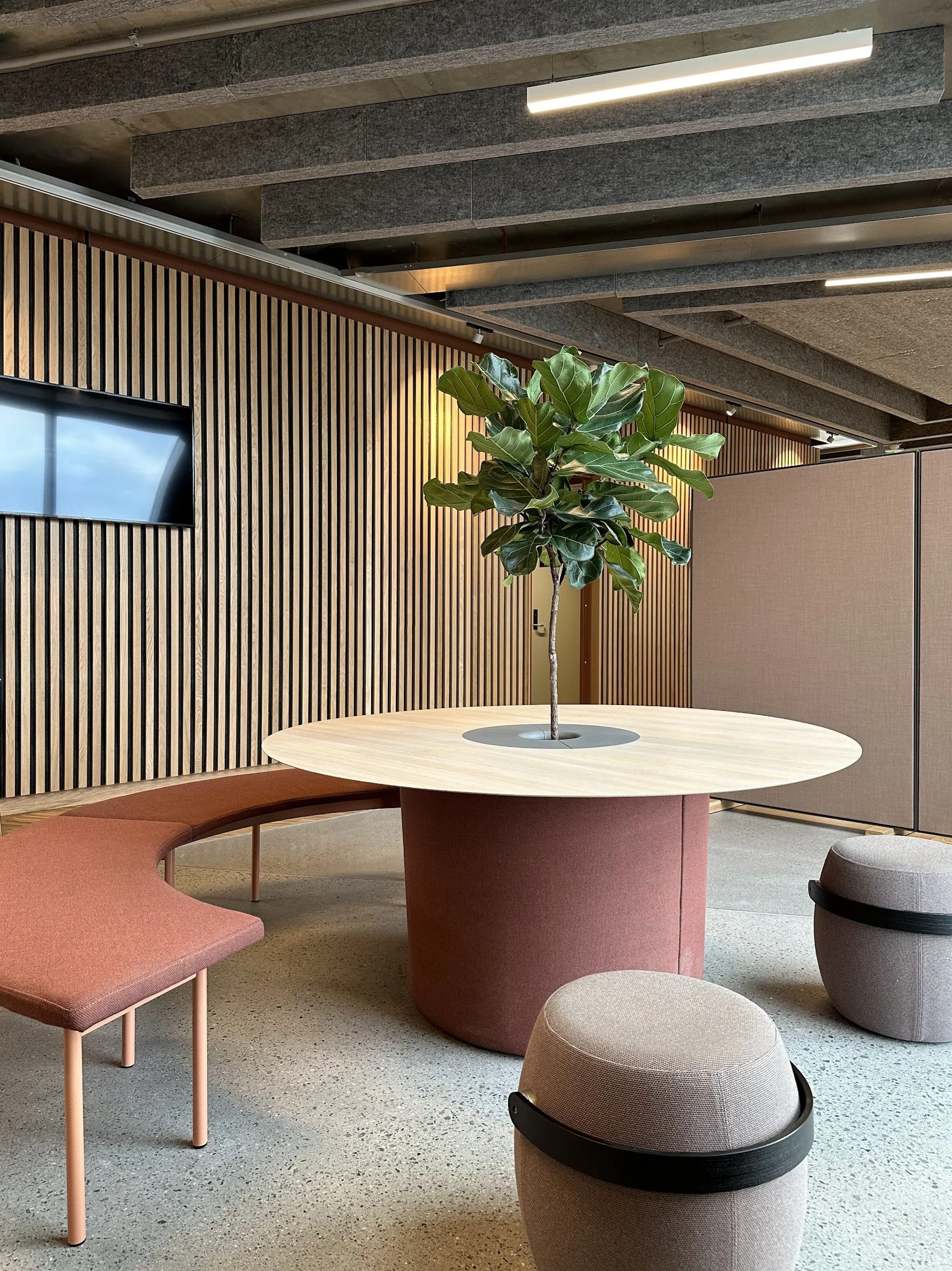 sosial sone i et kontor med fargerik sofa, rund bord med plante, og puffer