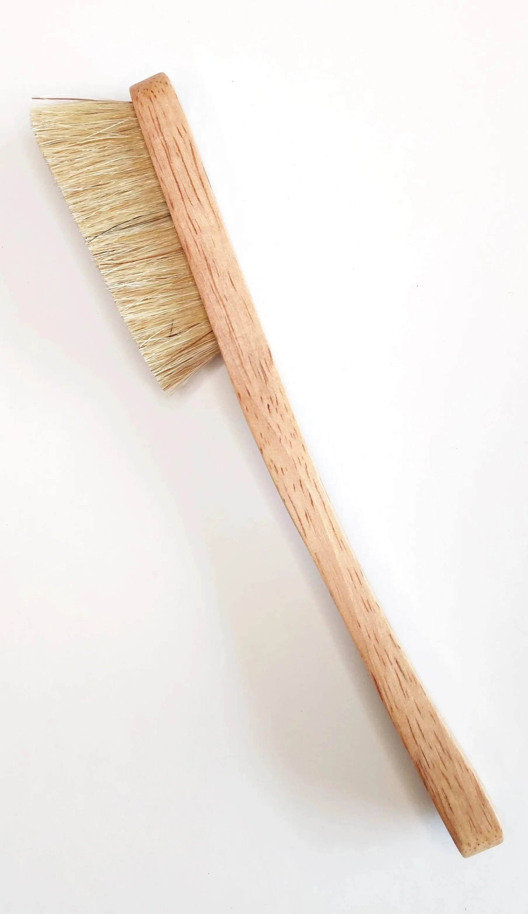 Brush+No+Background+1.jpg