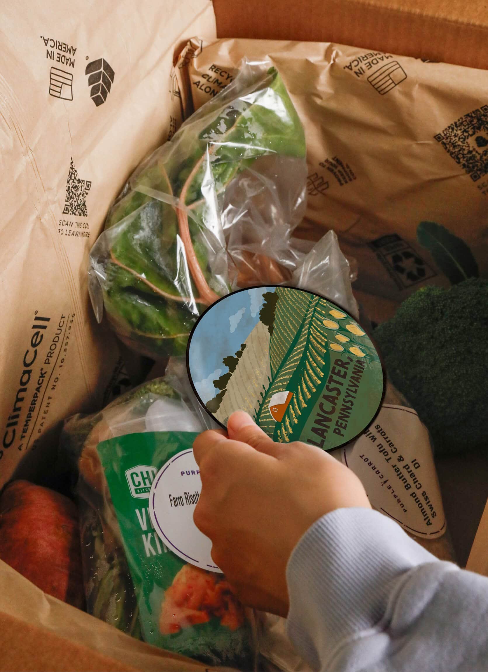 A hand holding a container of Marpacchia, a Pennsylvanian dish, amidst grocery bags including a bag of frozen green vegetables and a bag of rice.