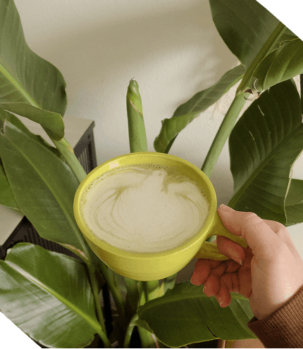 Person holding a bright yellow mug filled with a frothy green beverage, standing next to large green houseplant leaves.