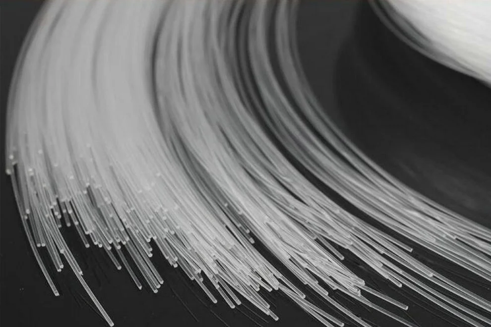 bare-fiber-bunt.jpg