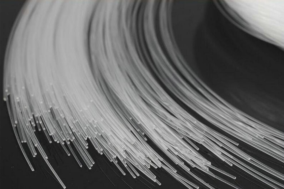 bare-fiber-bunt.jpg