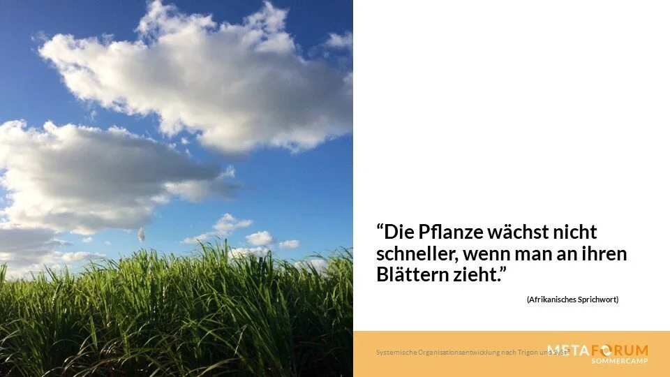 Slideshow_Wochenrückblick1-Folie34.webp