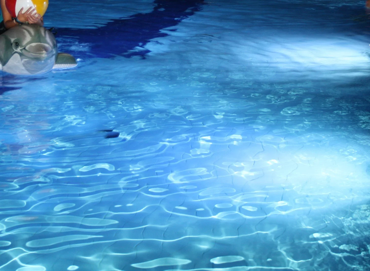 11_mfsc19_W2_Poolparty.webp