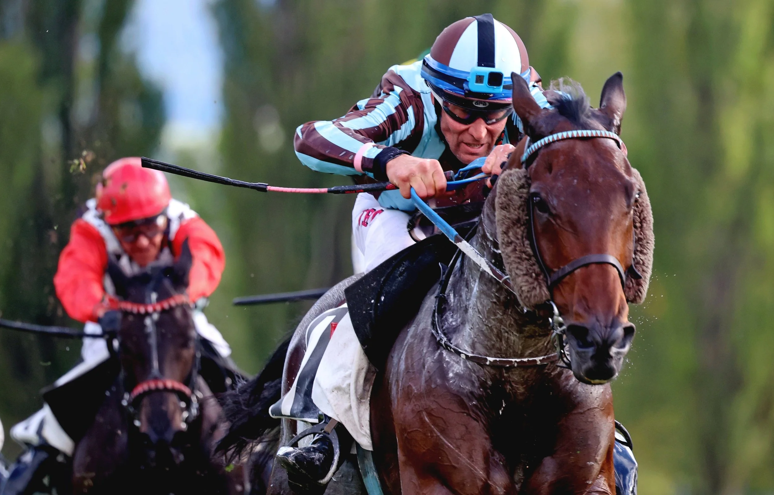 Int. Pferderennen Bad Ragaz