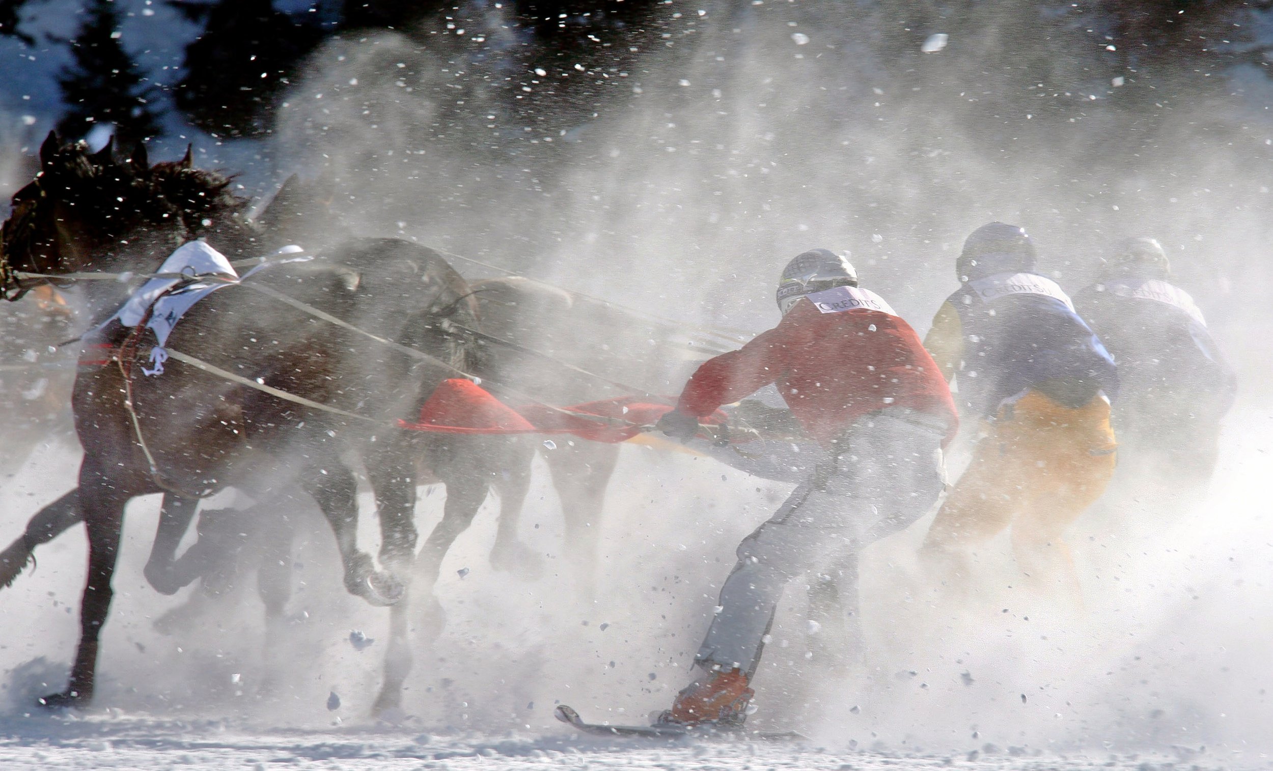 A_WhiteTurf 2021_005.jpg