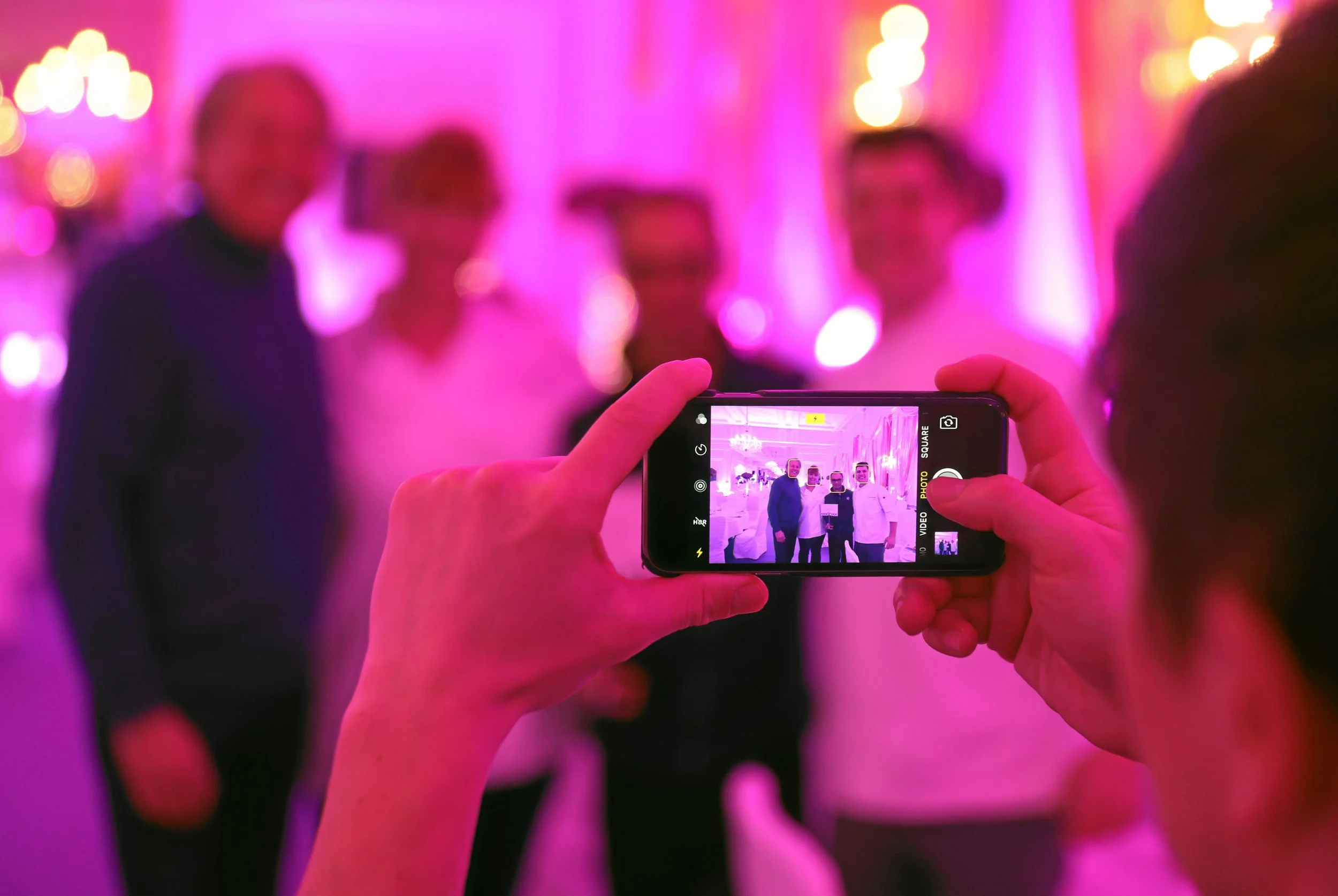 GOUR032.jpg
