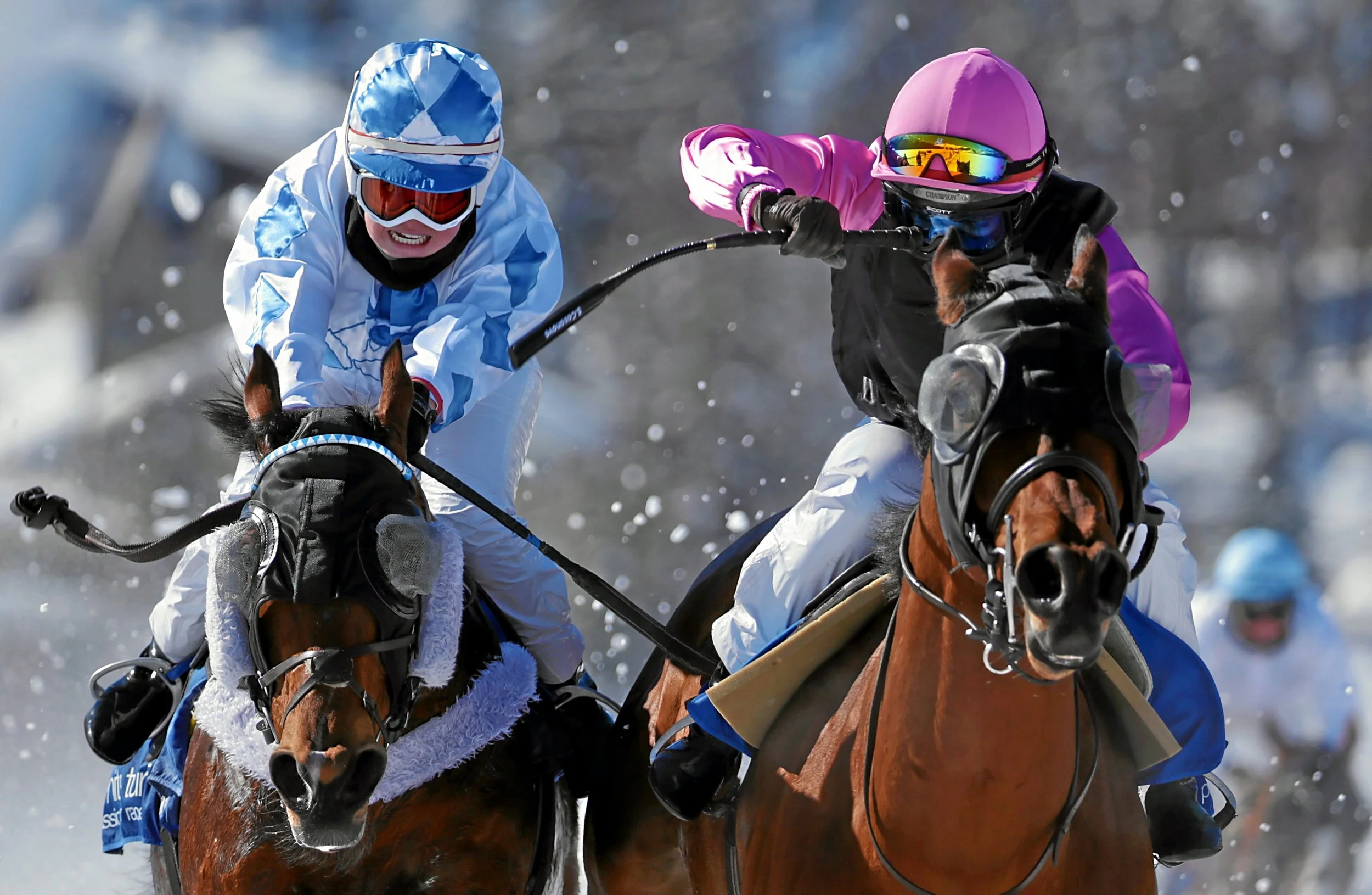 White Turf St. Moritz 2014. Packendes Duell vor dem Einlauf