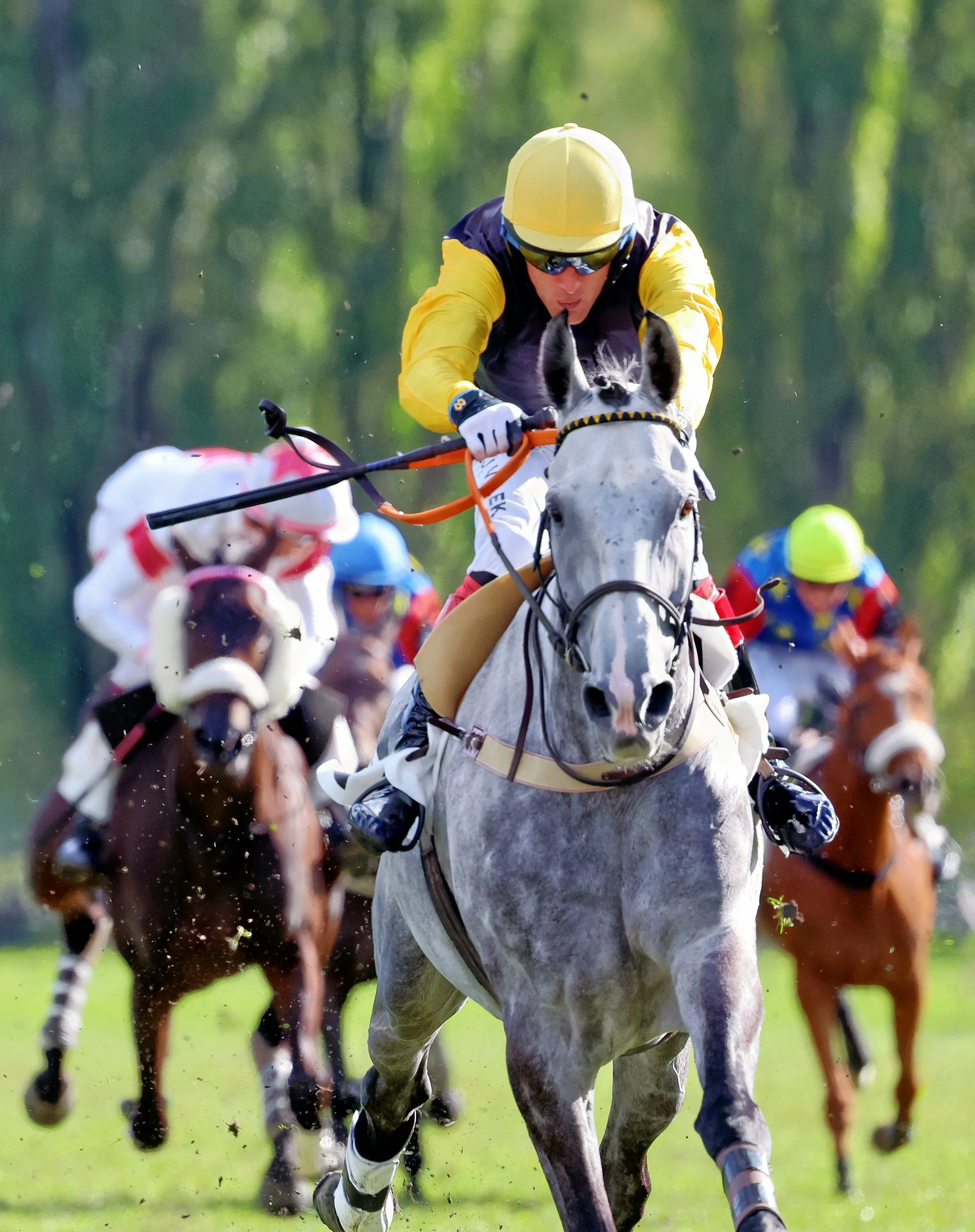 Int. Pferderennen Bad Ragaz