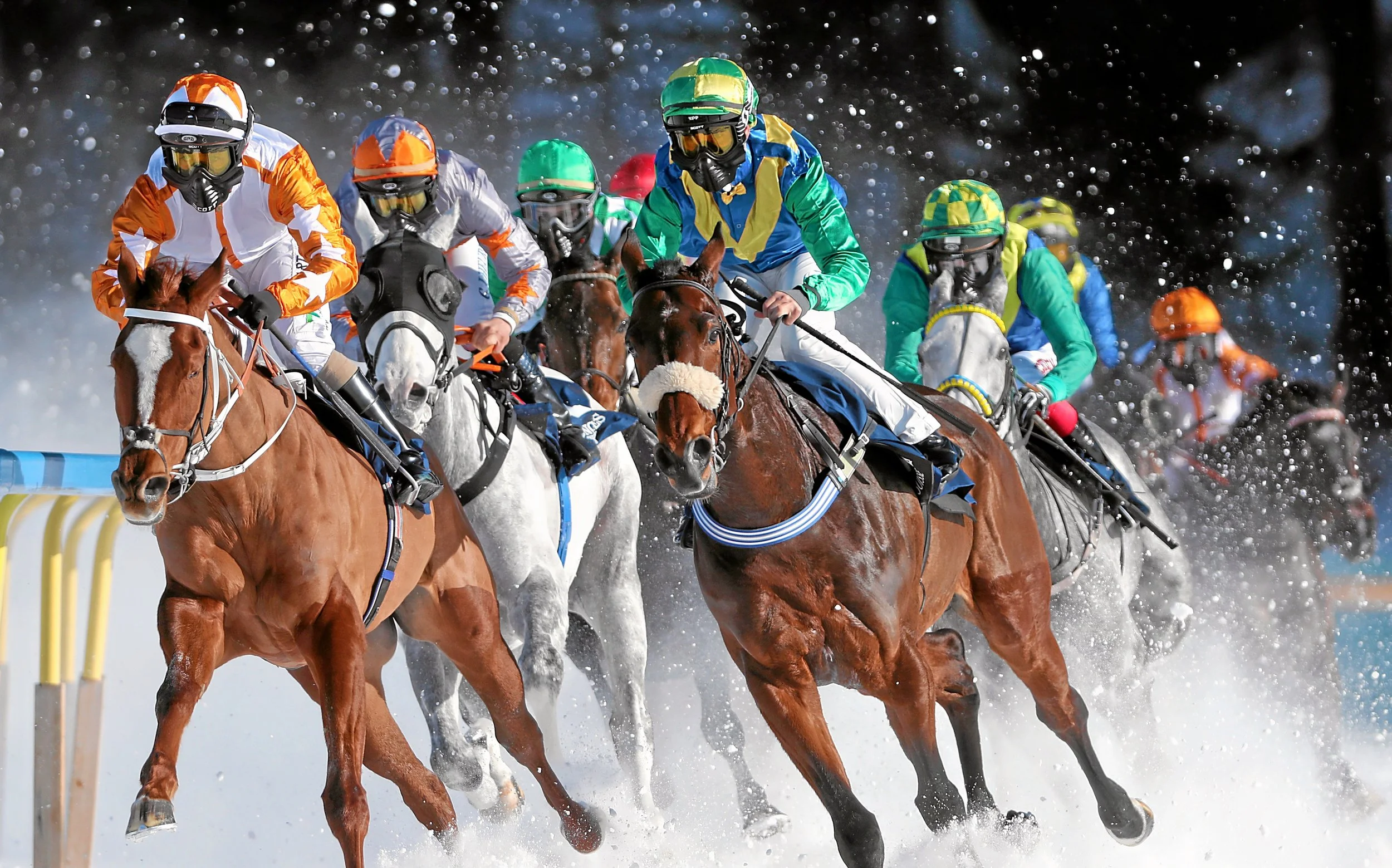 whiteturf2020_2_001.jpg