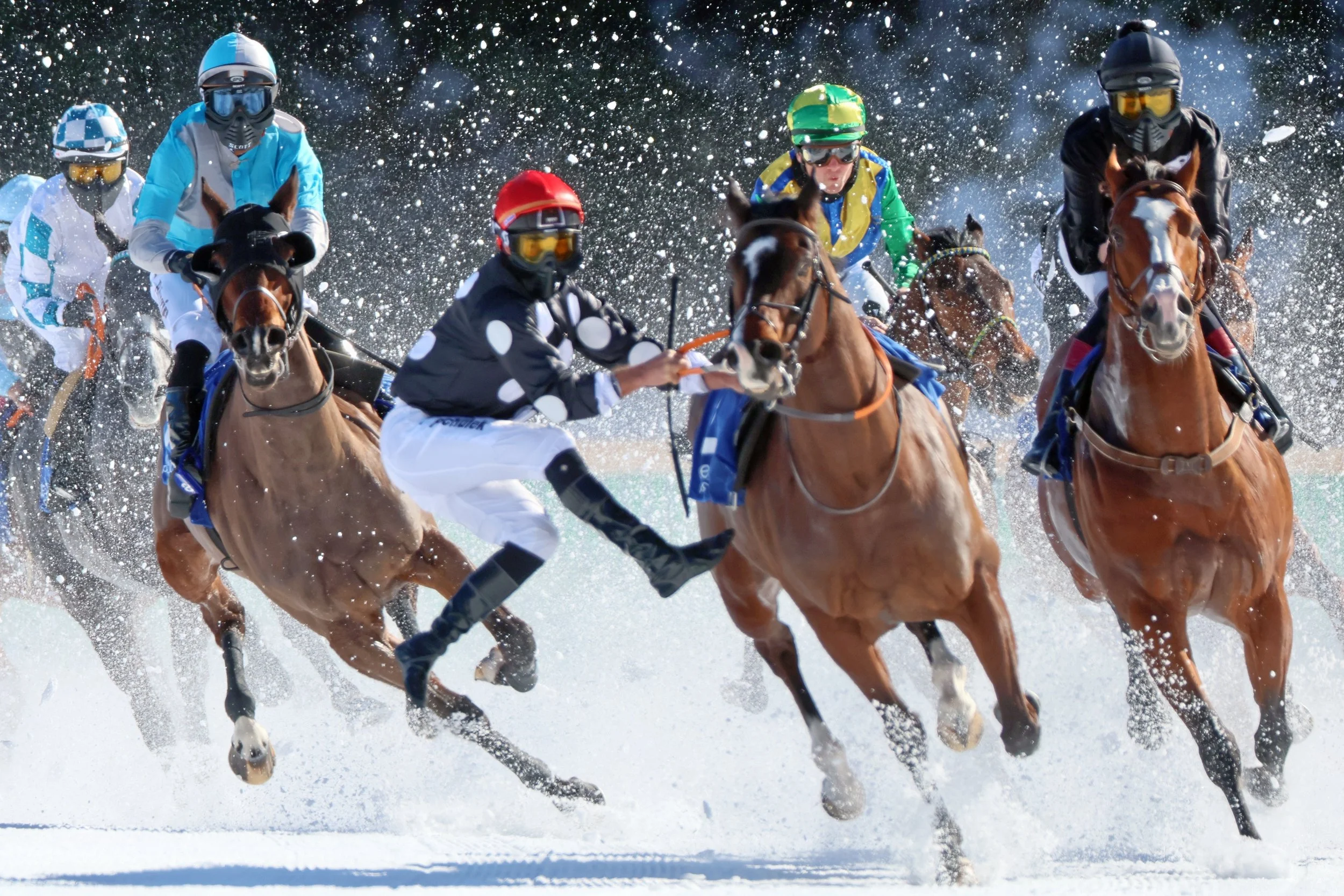White Turf St. Moritz 2023 St. Moritz. Unfreiwilliger Abstieg in der Bad-Kurve...