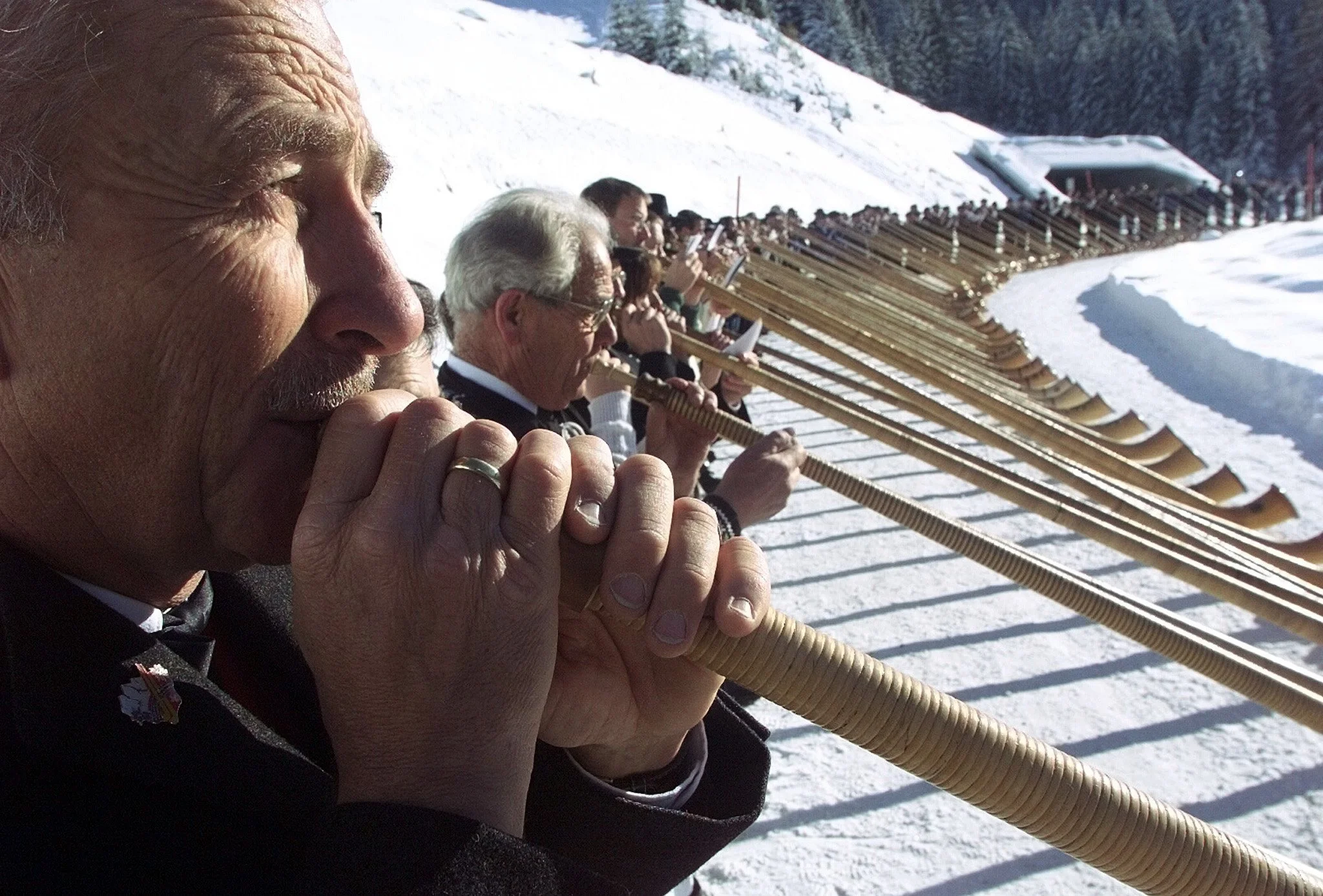 veralp9.jpg
