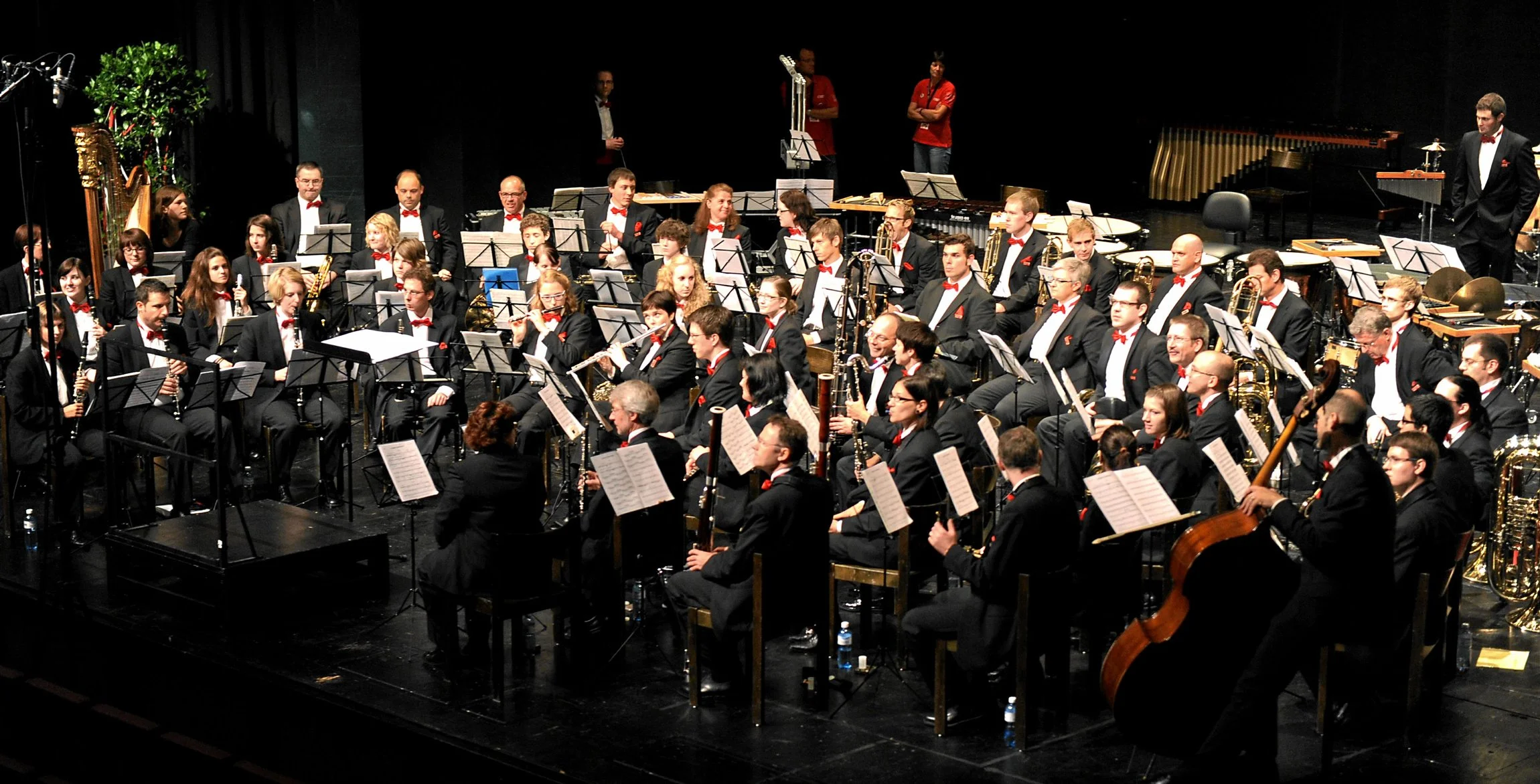 EMFSG2011_196.jpg